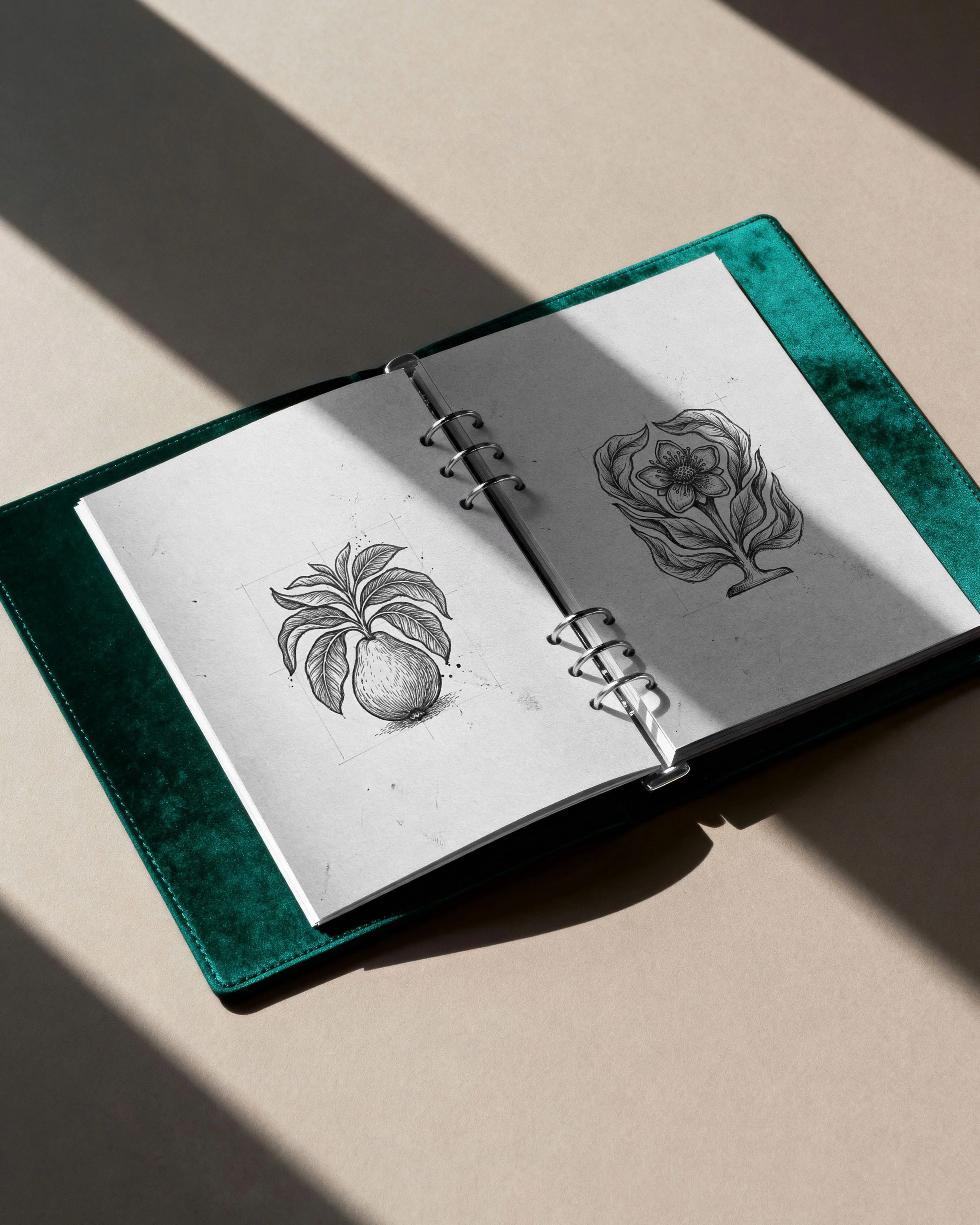 Open sketchbook with detailed black and white botanical drawings of flowers on cream-colored paper, partially illuminated by sunlight.