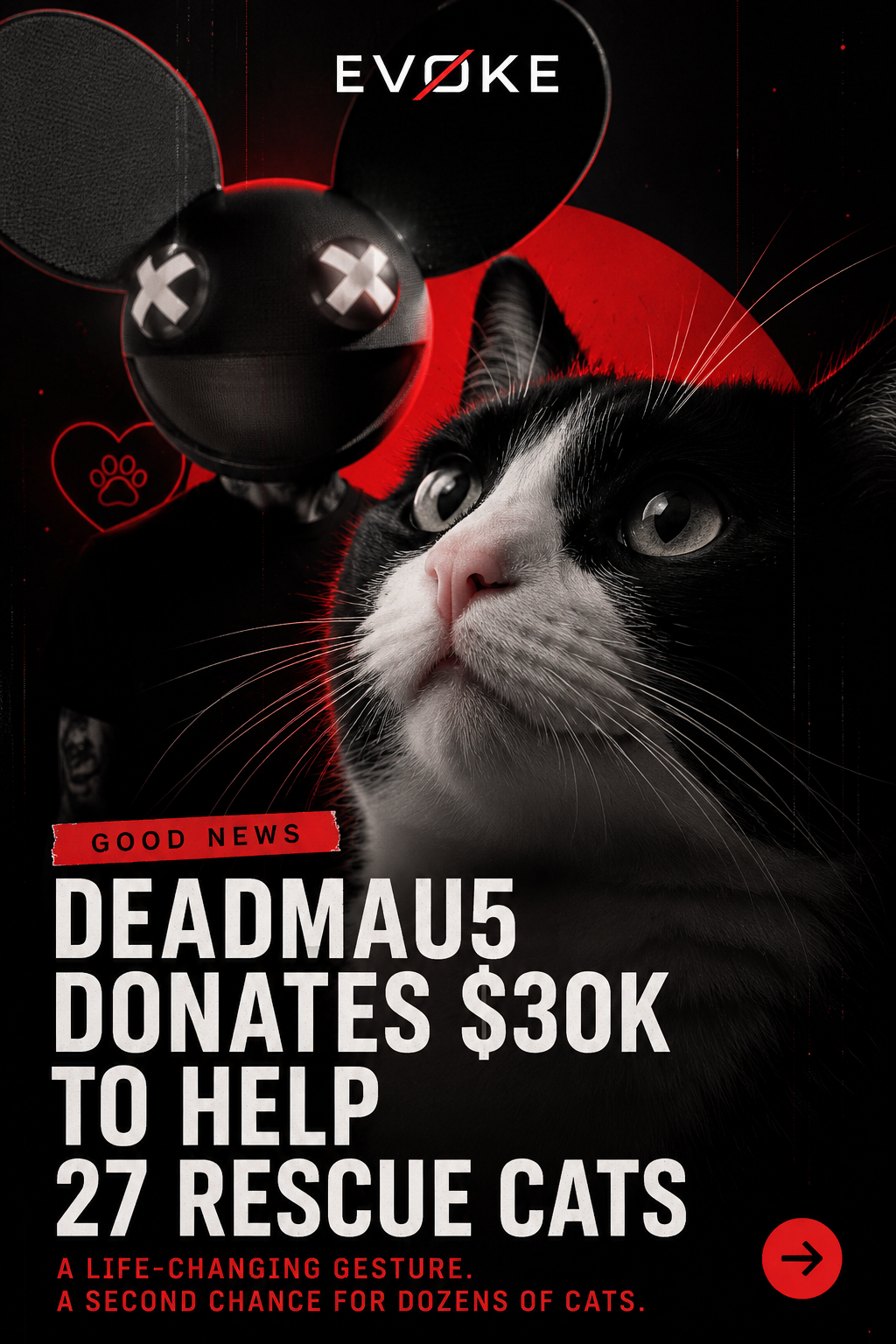 Deadmau5 Steps In After Dozens of Rescue Cats Face Mounting Medical Costs