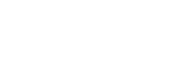 DOMINIK BIEDERMANN