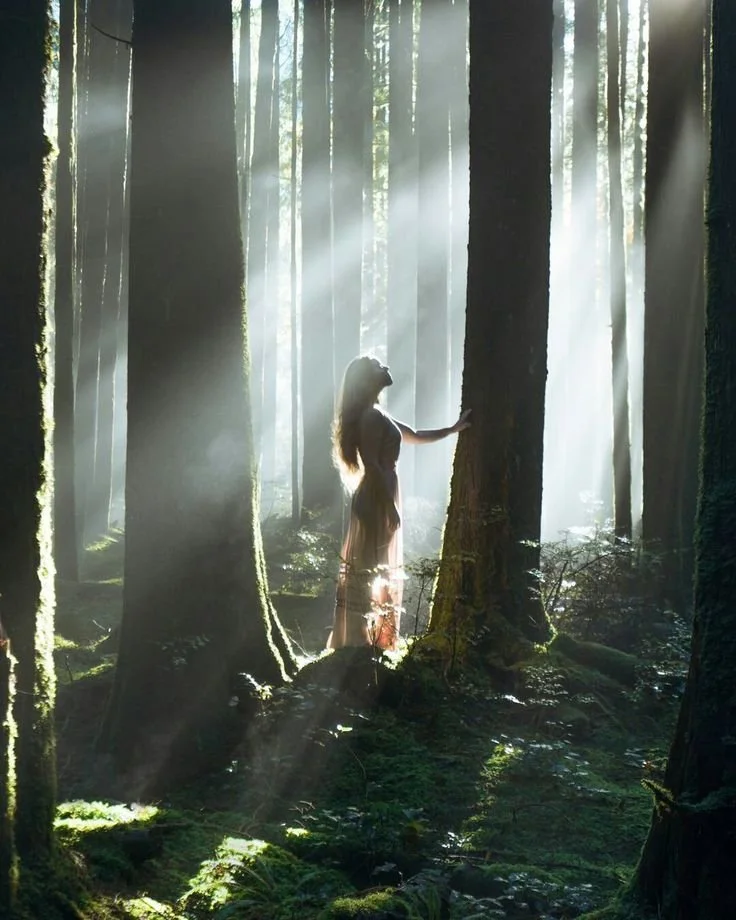 A woman in a forest illuminated by sunlight streaming through trees, touching a tree trunk.