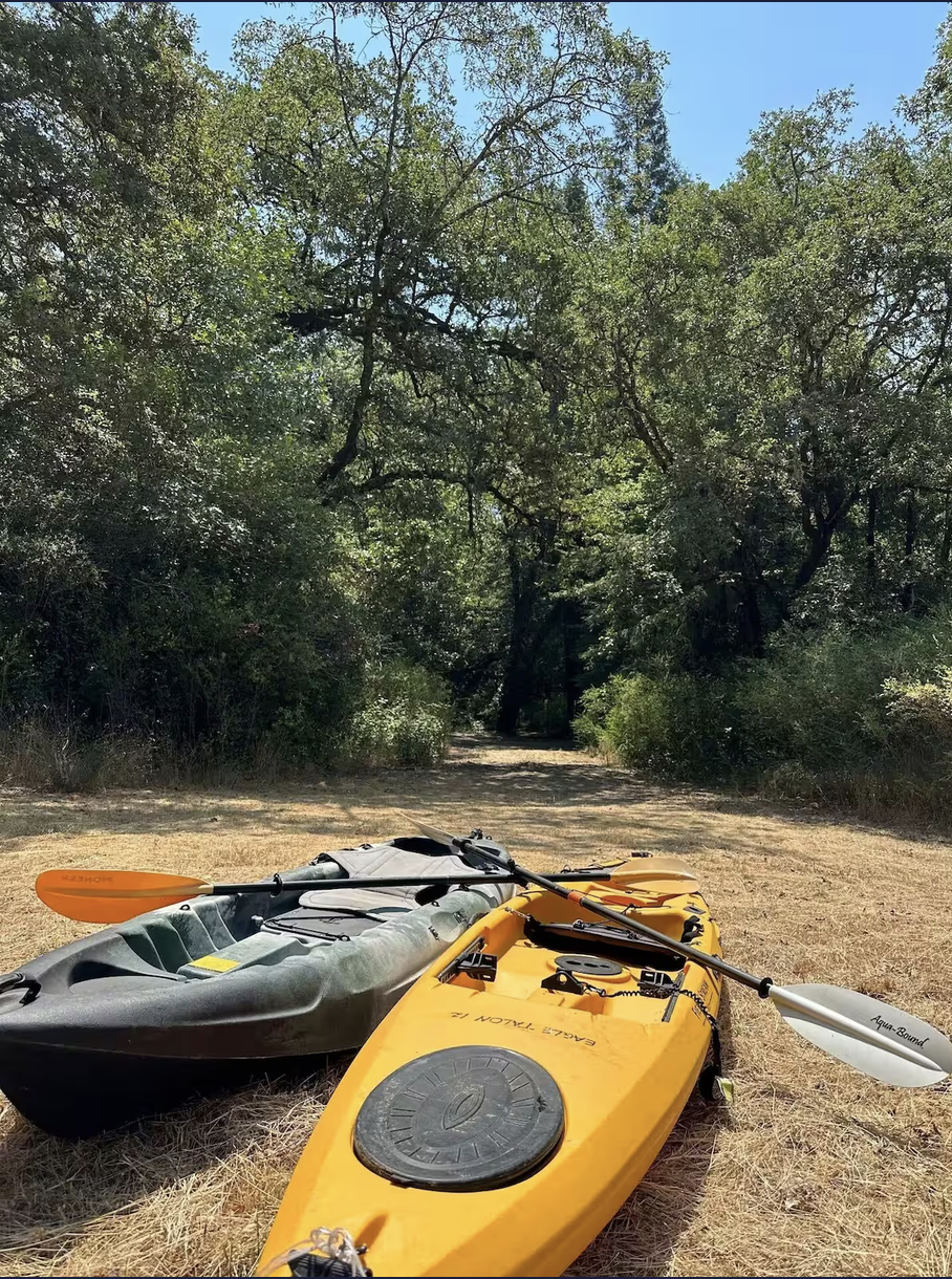 Two kayaks, one yellow and one dark gray, are lying on dried grass in a wooded area with tall trees and a dirt path.
