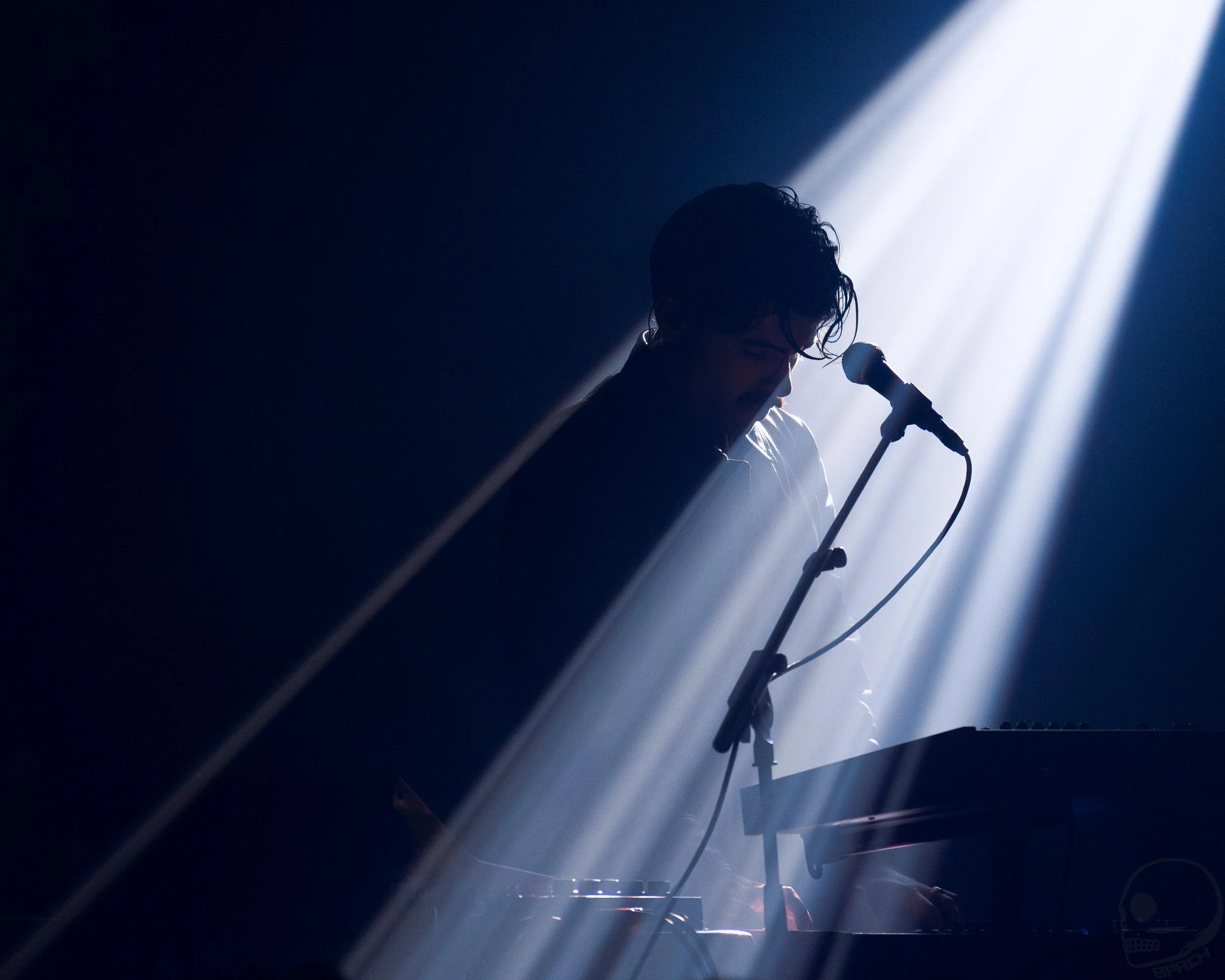 Vera Fauna, Sala Apolo, 2026