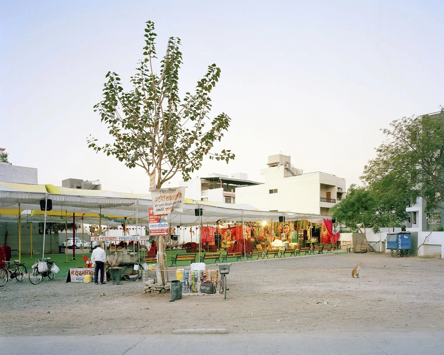 Arthur Crestani - Aranya_003.jpg