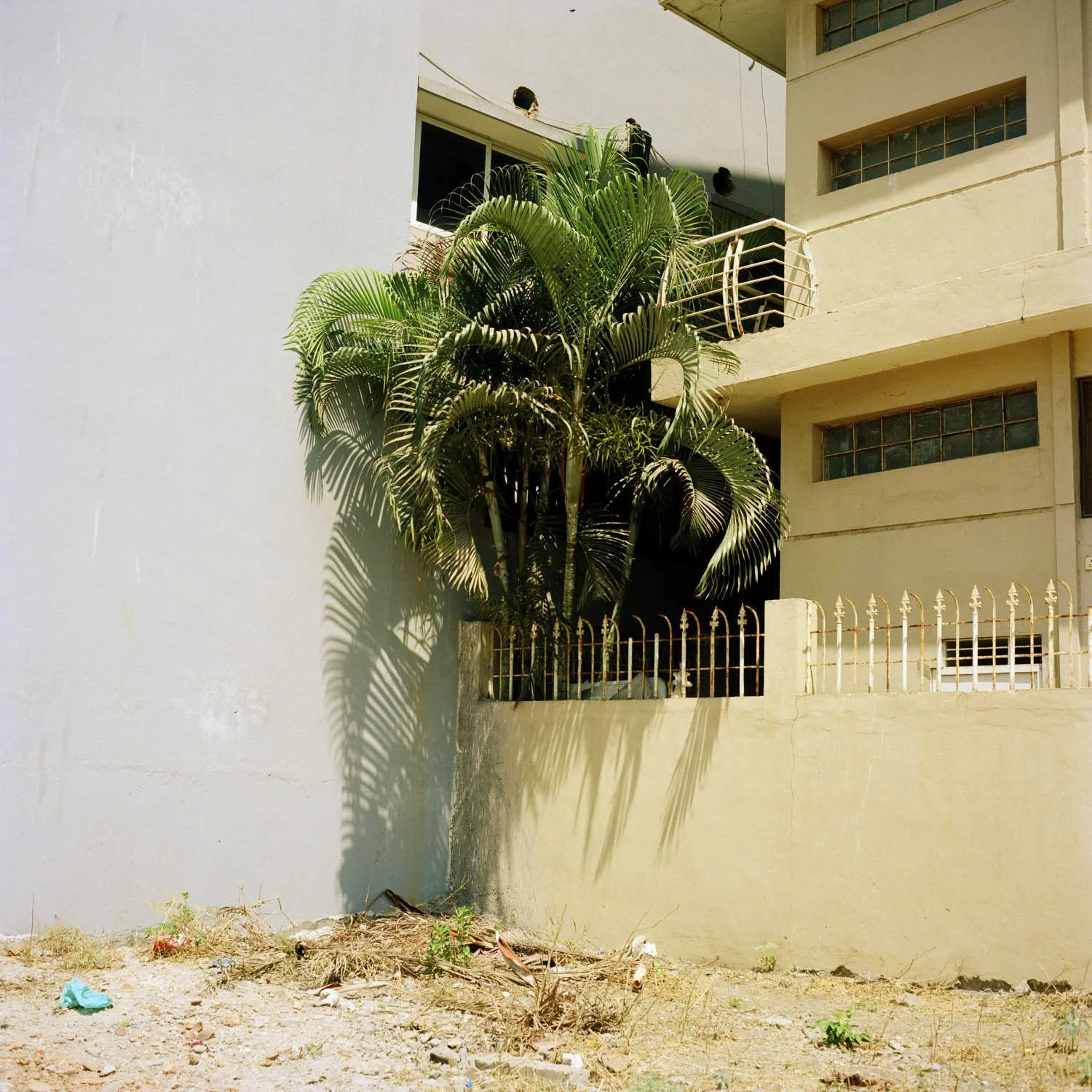 Arthur Crestani - Aranya_016.jpg