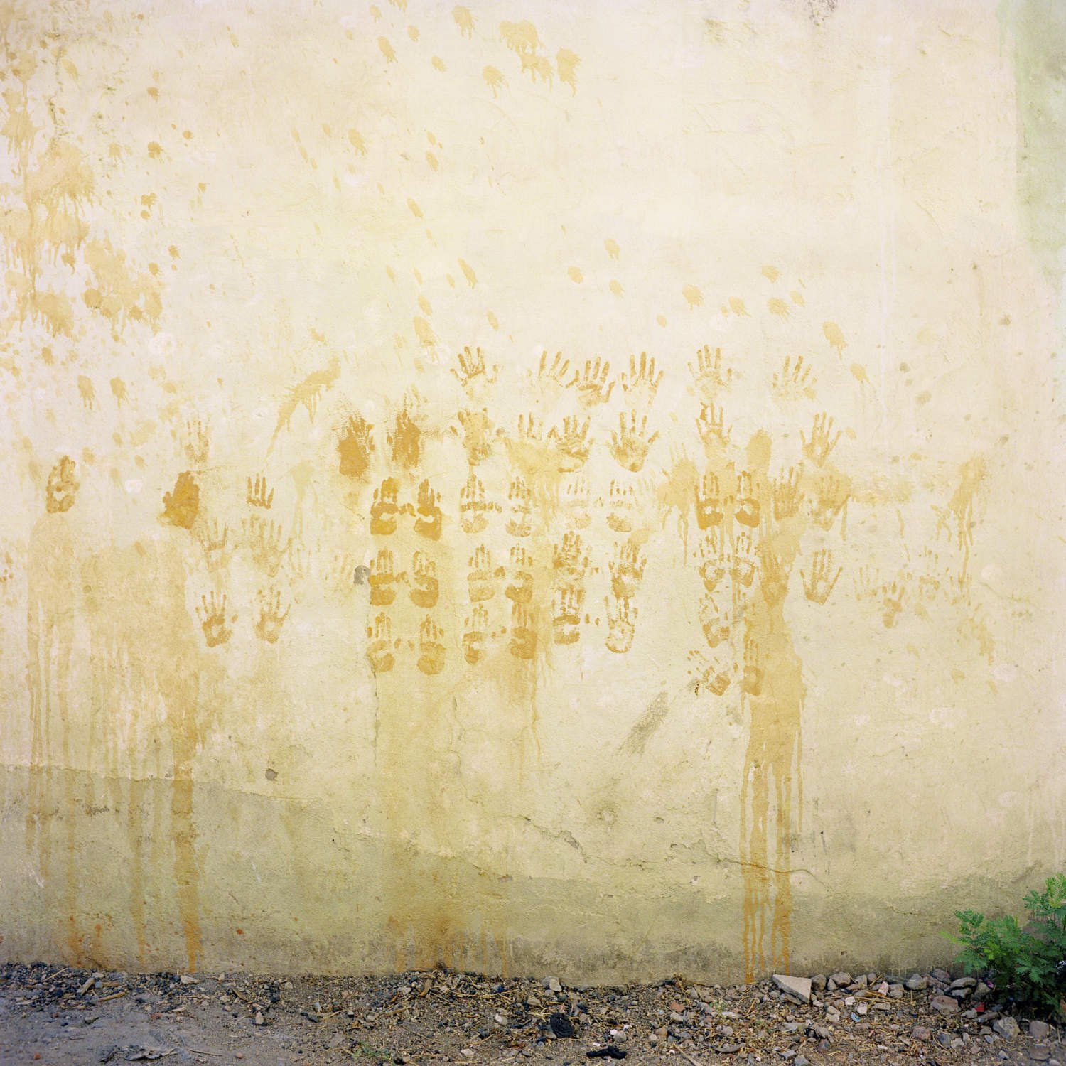 Arthur Crestani - Aranya_011.jpg