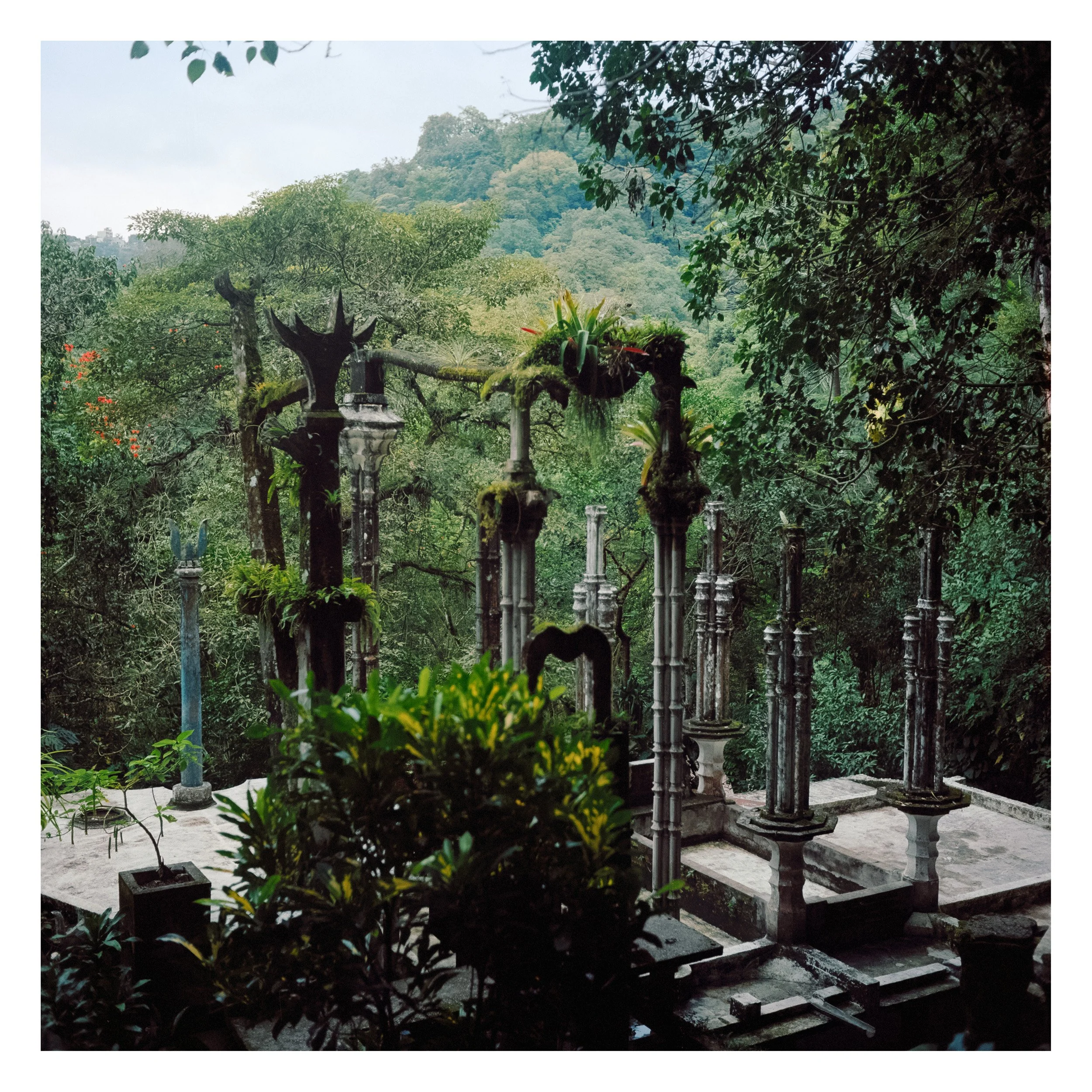 El Jardin II, 2025