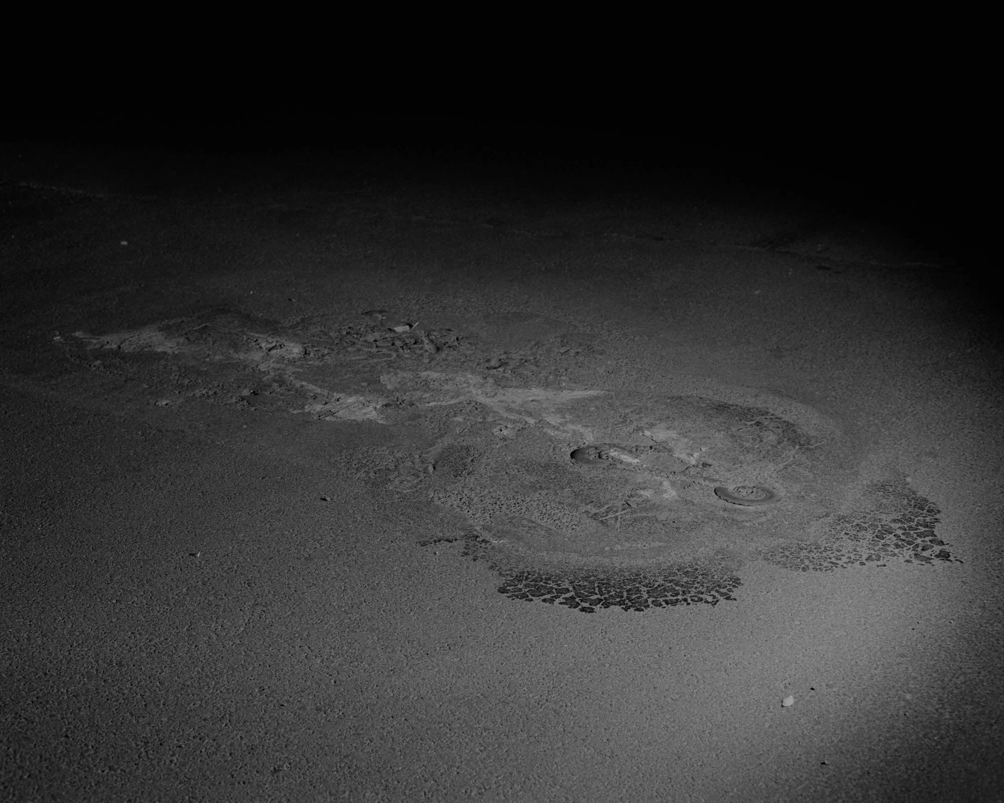 202310_LesCicatrices_4_1.jpeg