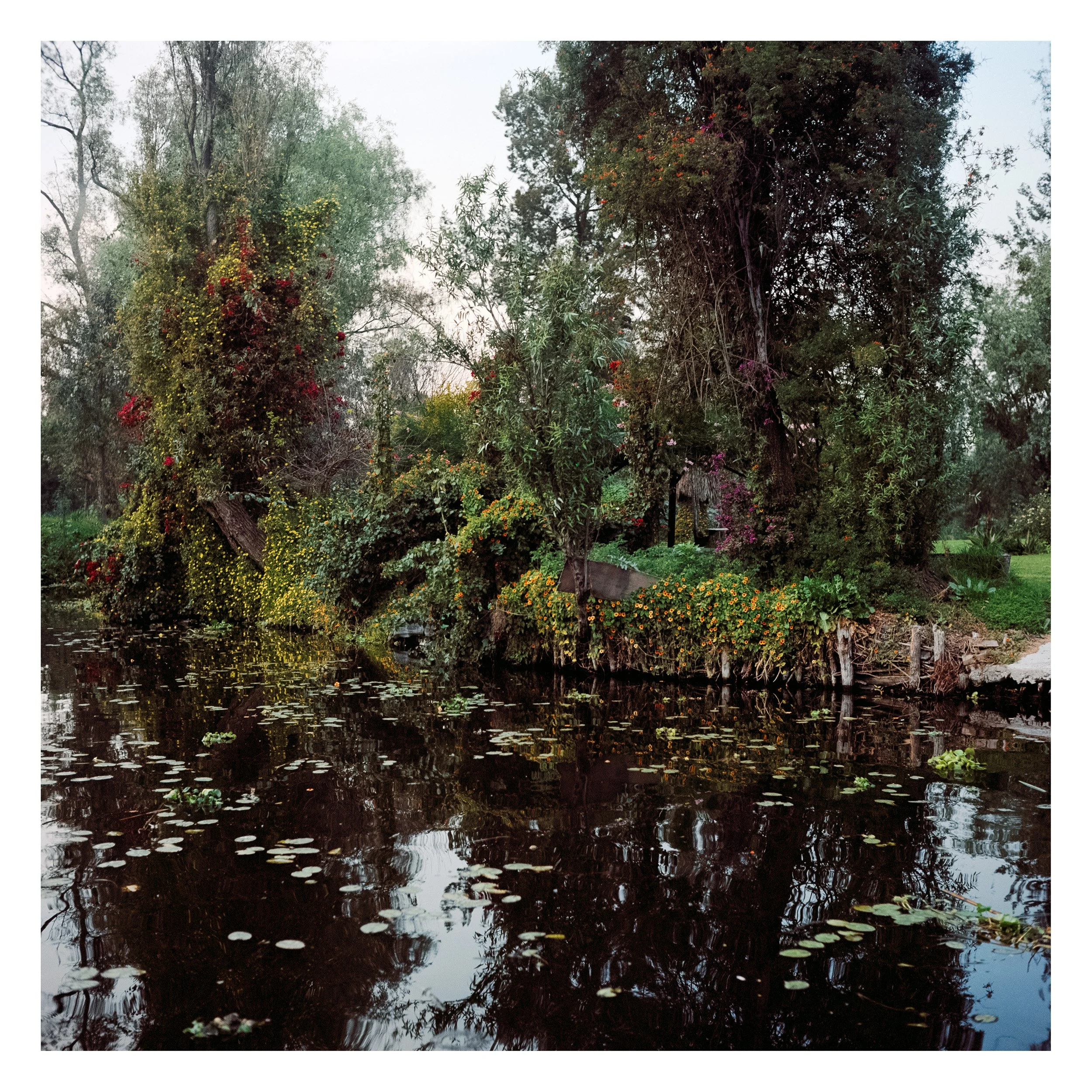Xochimilco, 2025