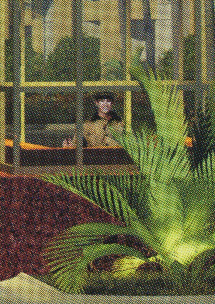 aCrestani_BCD_details5.jpg