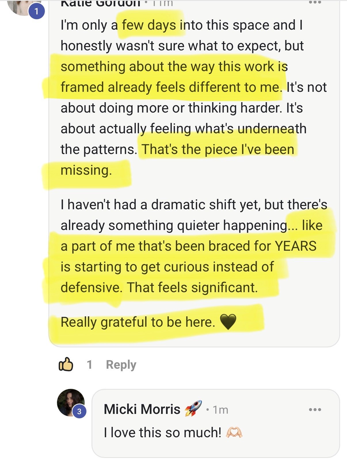 Screenshot of text from a social media or messaging app with highlighted sections. The text discusses feelings about work and personal growth, mentioning 'few days', 'something about the way this work is framed already feels different', 'missing piece', 'curious instead of defensive', and gratitude.