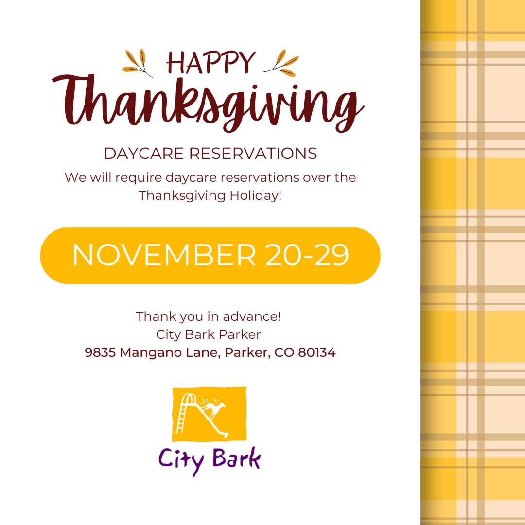 White Colorful Abstract Thanksgiving Sale Instagram Post (1).png