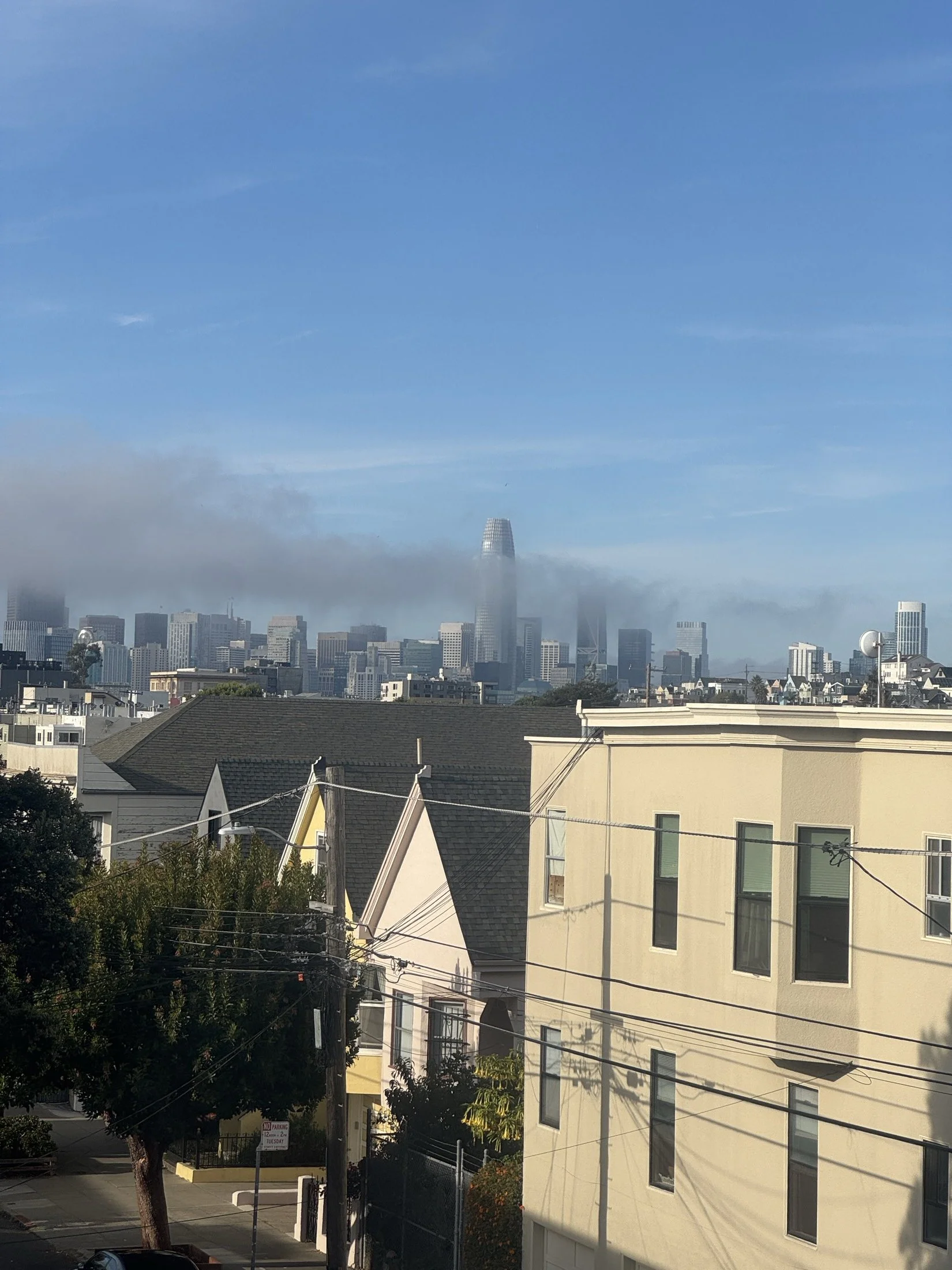 Cityscape with tall buildings partially covered by fog, blue sky with some clouds, residential houses and trees in the foreground.