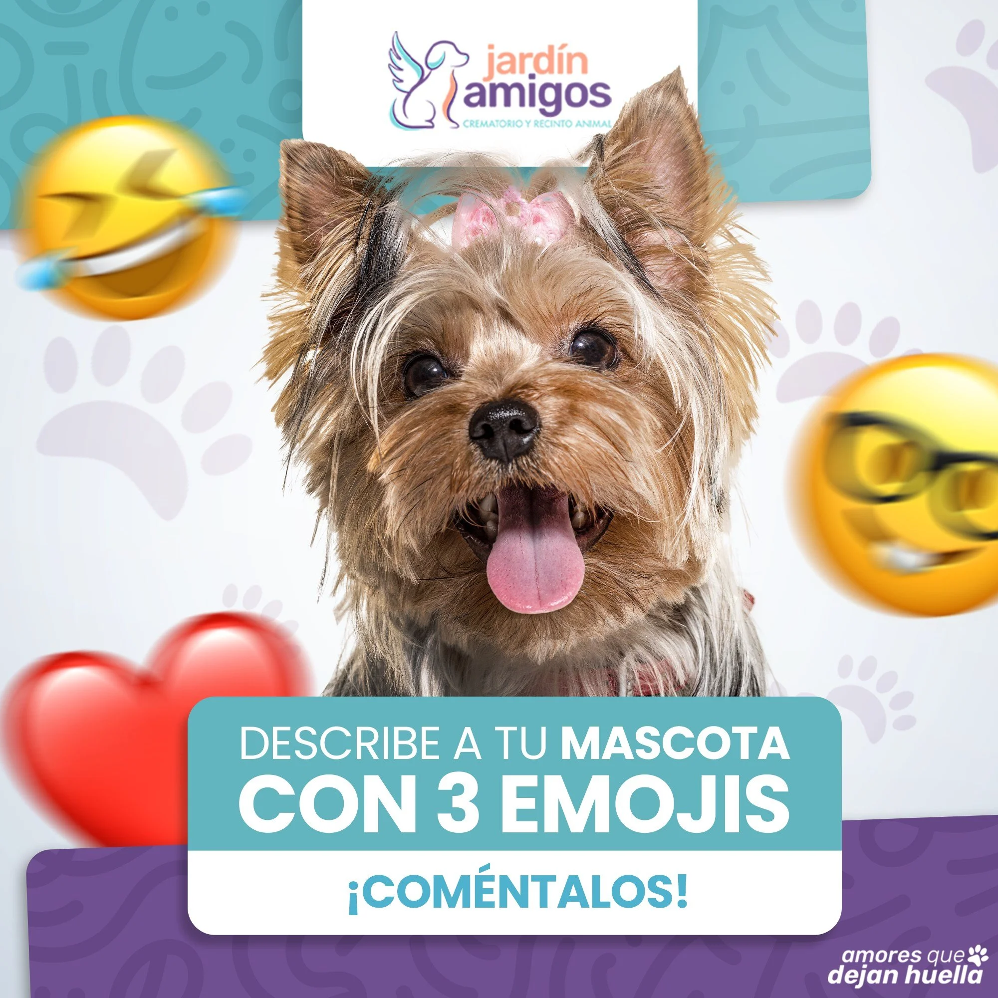 INTERACCIÓN