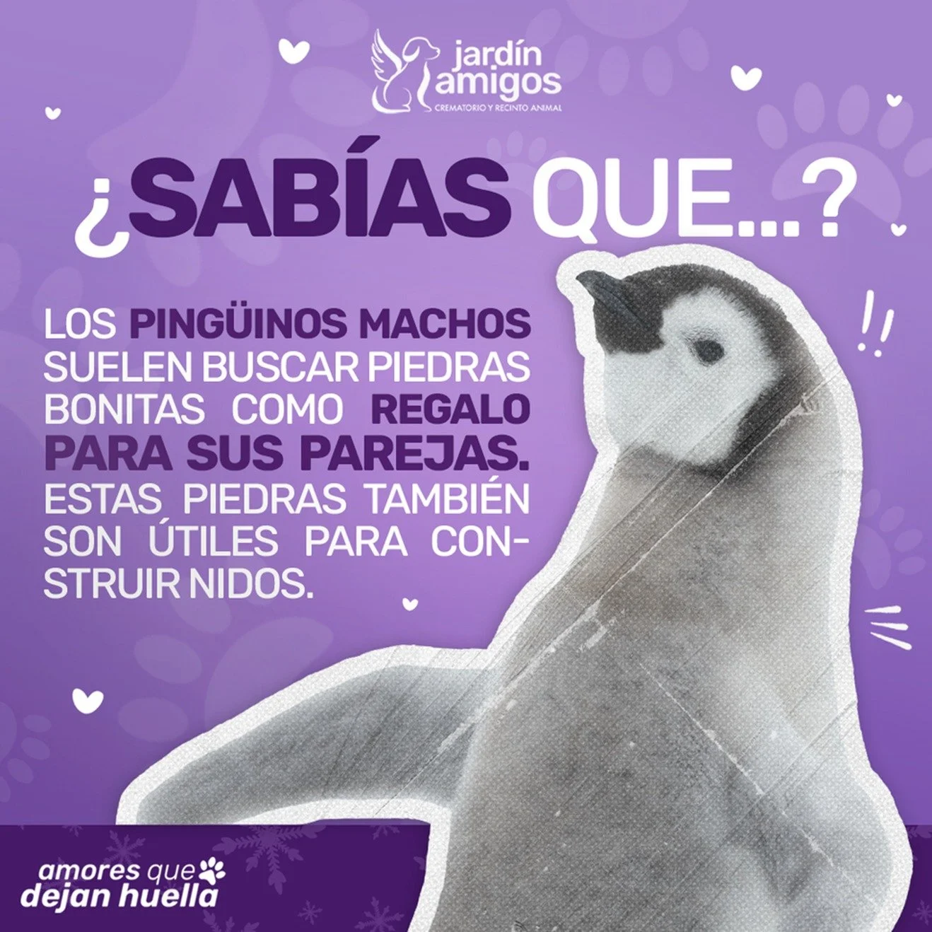 EDUCATIVO