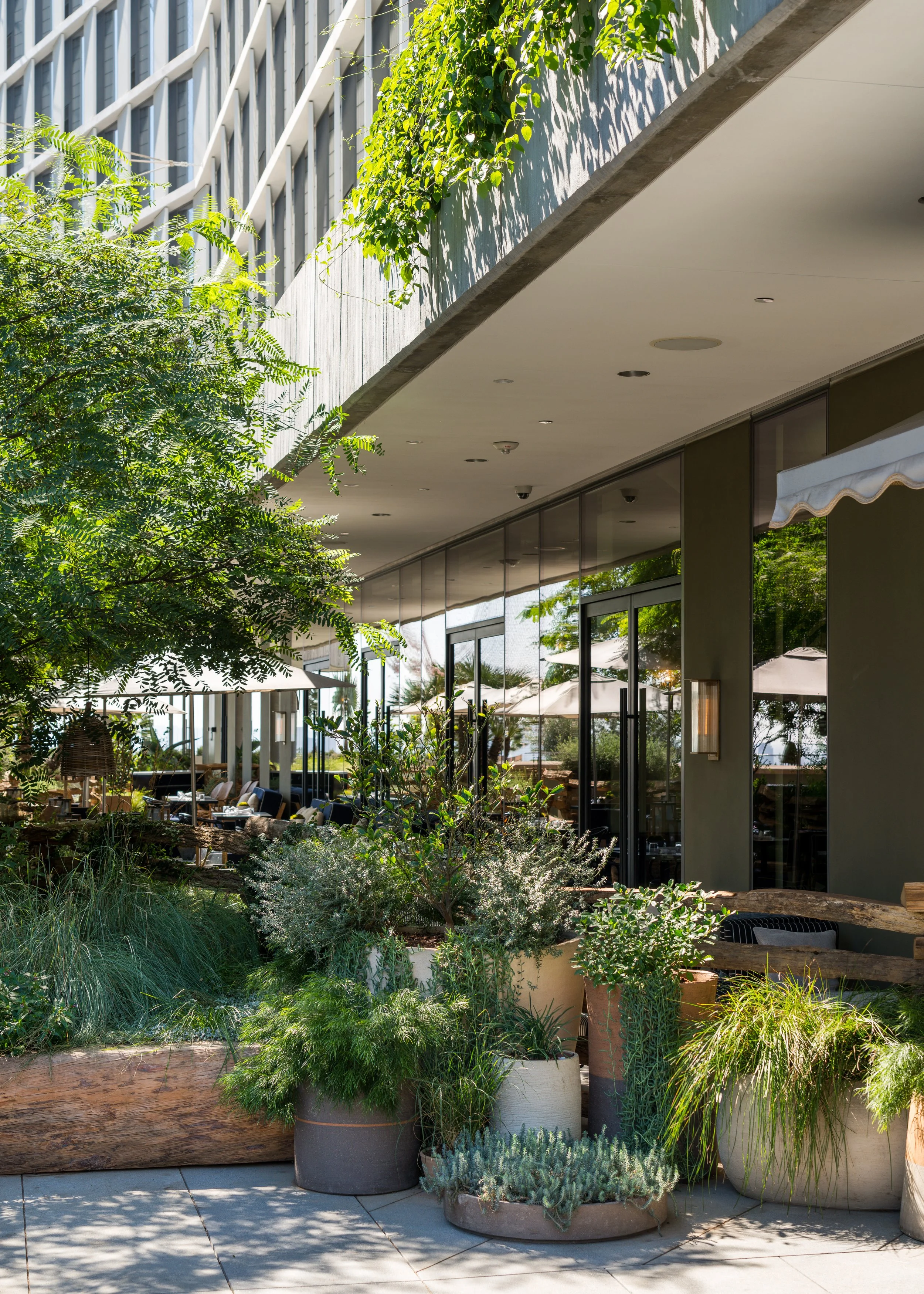 Outdoor patio with various potted plants and greenery, large glass windows reflecting trees, and a covered seating area, with a modern building in the background.