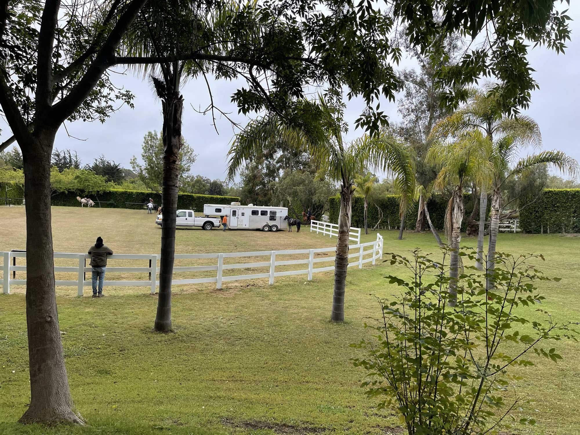 A farm scene with trees, grass, and a horse inside a white fence. A person is standing with their back to the camera near the fence, and other people and a car are visible near a trailer. The sky is overcast.