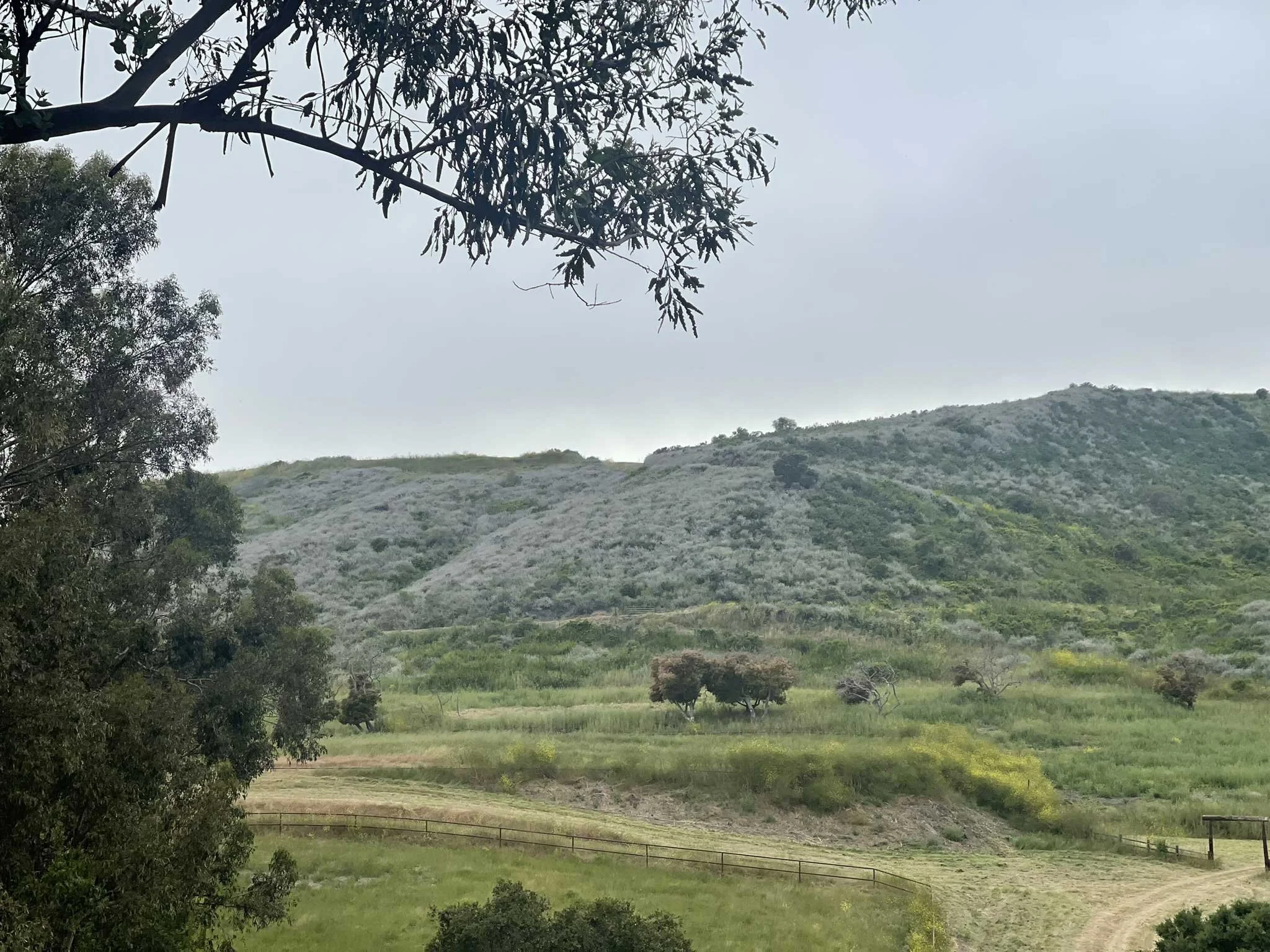 Scenic view of green hills with trees and grass, under partly cloudy sky.