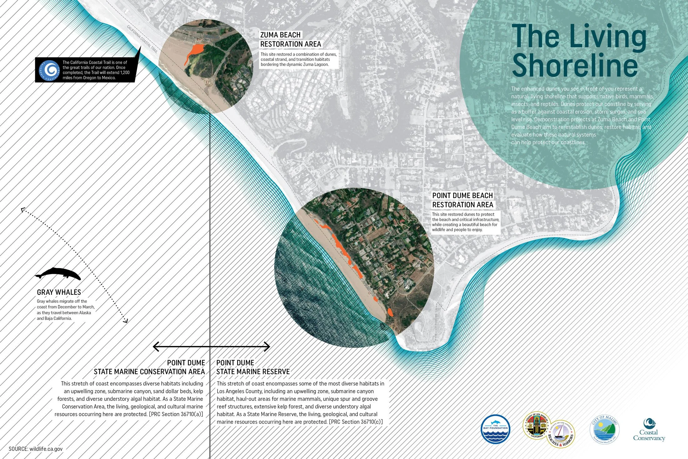 A coastal map illustrating conservation areas and restoration projects along the shoreline, including Zuma Beach Restoration Area and Point Dume Beach Restoration Area, with detailed descriptions of habitats and wildlife such as gray whales, and the 