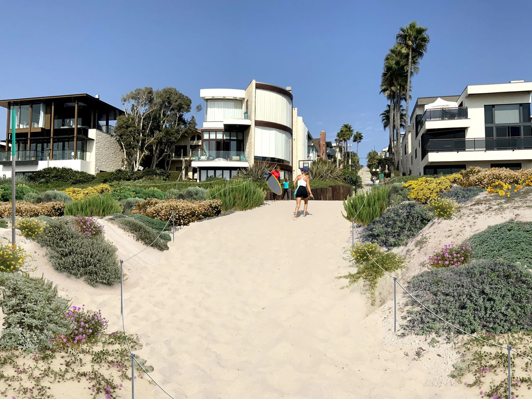 Manhattan Beach Dune Restoration  Public Realm 