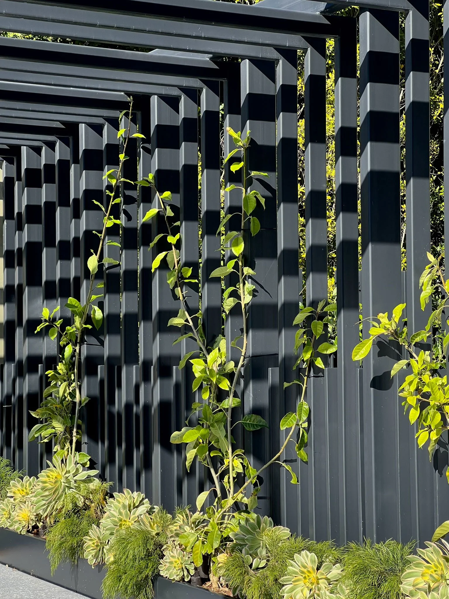 A black modern outdoor fence with geometric patterns, behind which green foliage is seen, along with a variety of ground plants in the foreground.