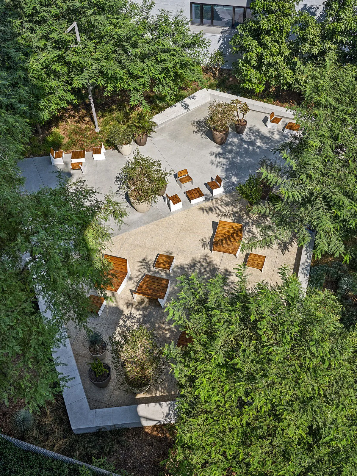 Aerial view of an outdoor patio area with numerous wooden tables, chairs, and large potted plants, surrounded by lush green trees, with a white building in the background.