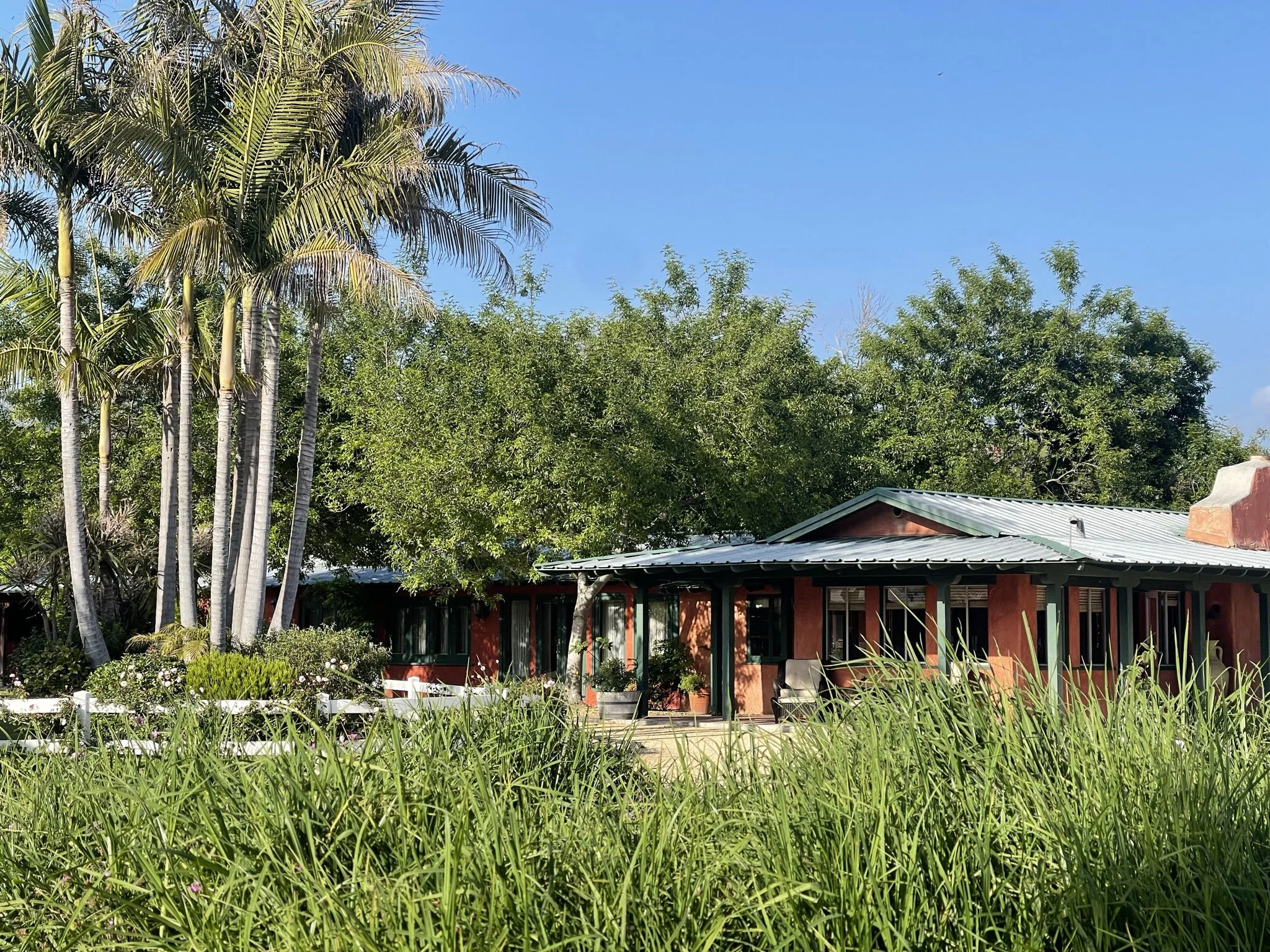A house with a grey metal roof, surrounded by tall trees, including palm trees and leafy green trees, under a clear blue sky.