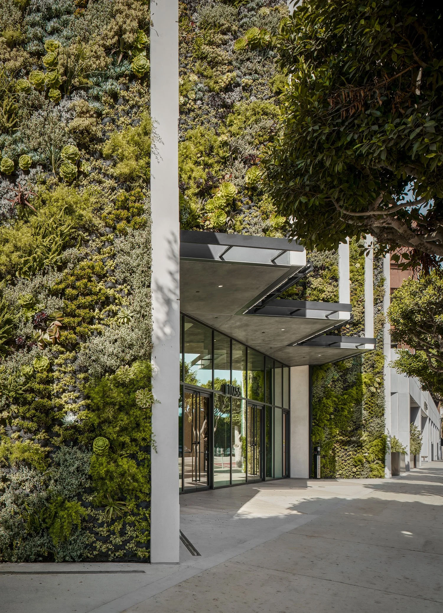 A modern building with large glass doors and windows, surrounded by a vertical garden wall with various green plants and succulents, and outdoor pavement in front.