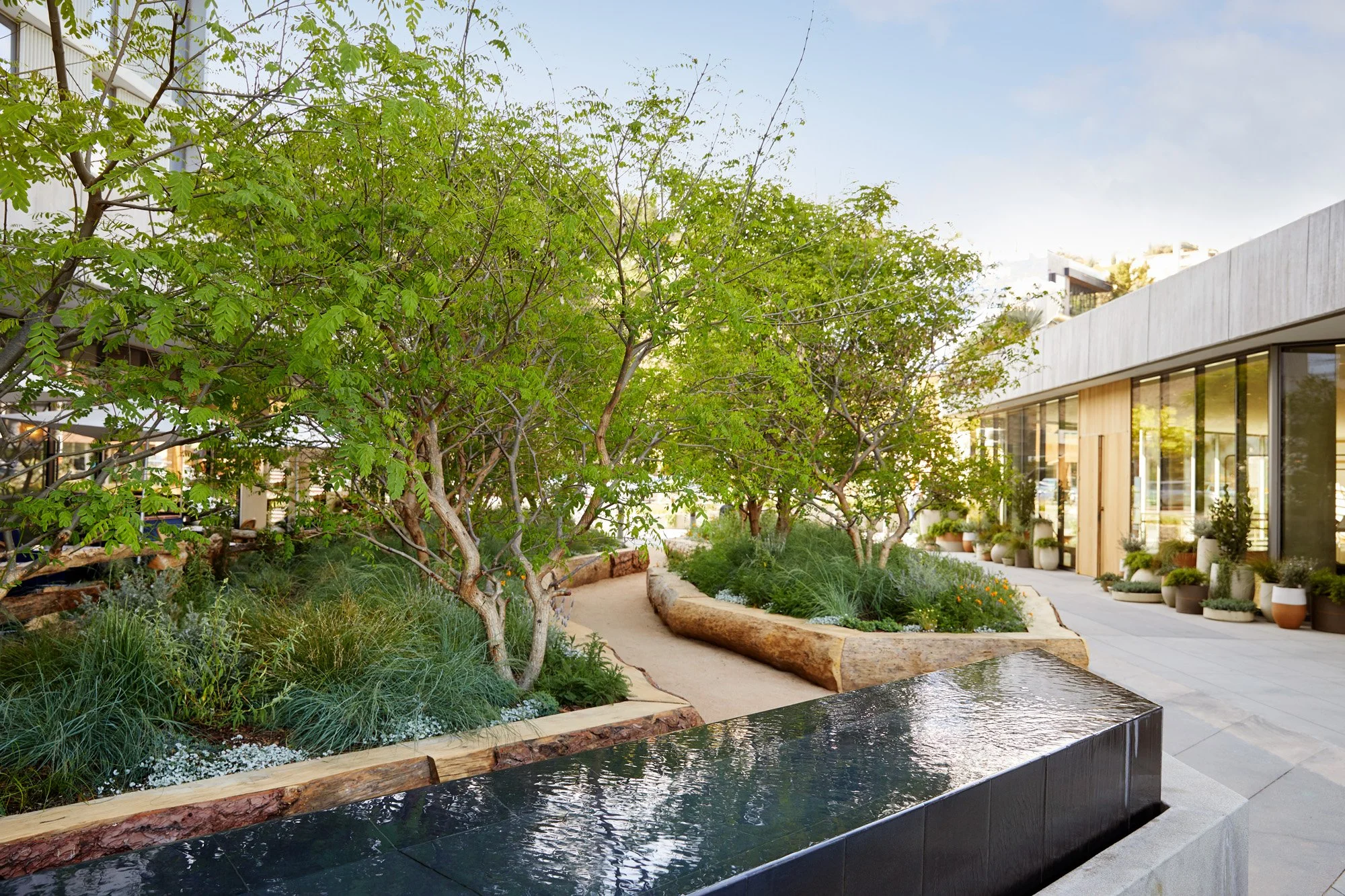 Modern building with large glass windows and potted plants outside, surrounded by lush green trees and garden plants, alongside a water feature.