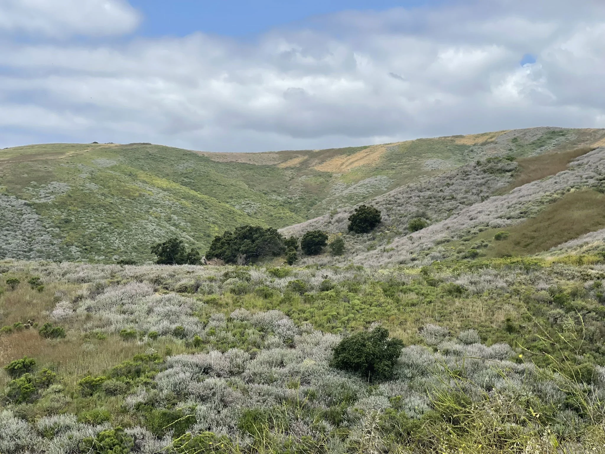 Santa Ynez Hospitality Ranch Private Landscapes 