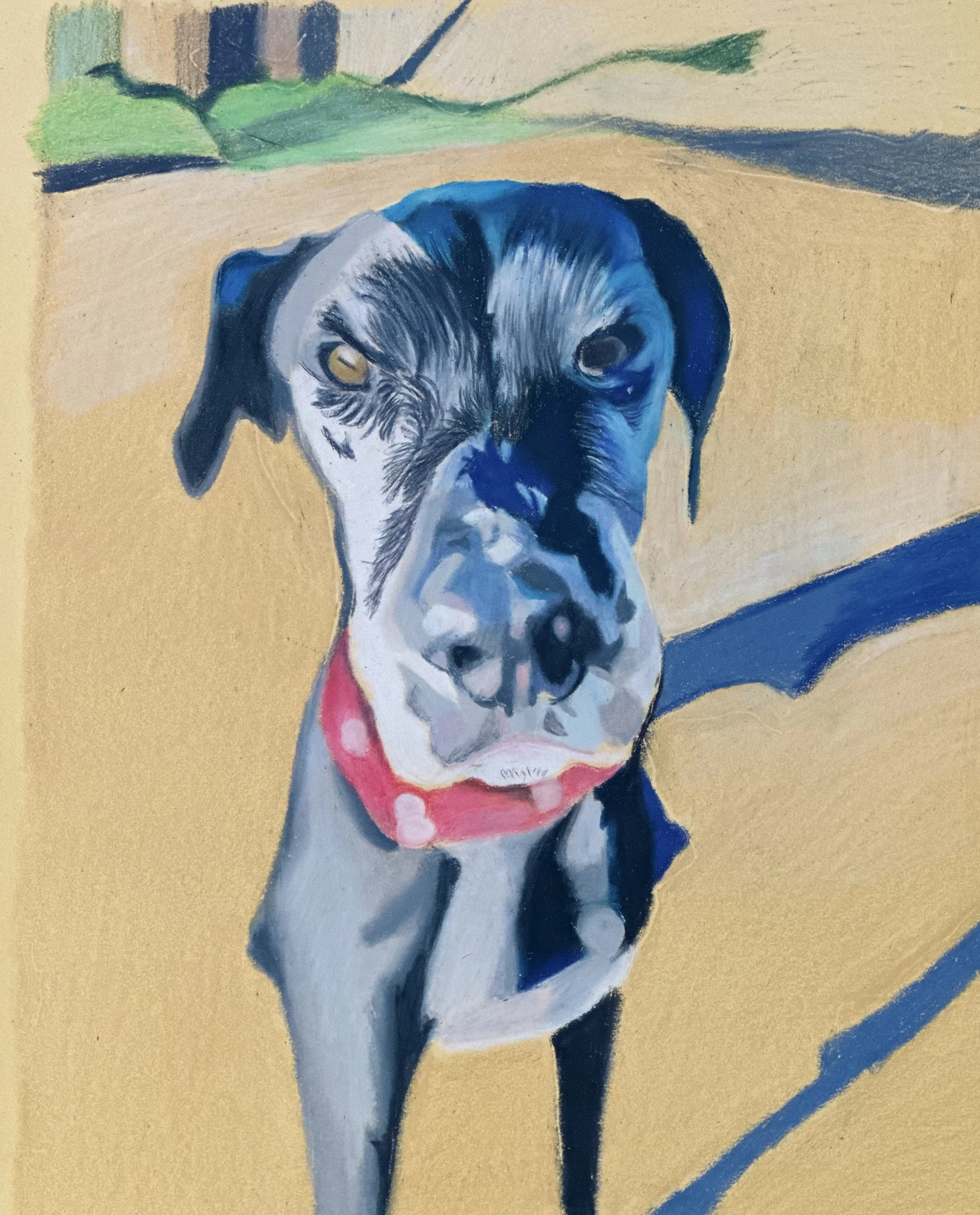 A colorful painting of a dog with black, white, and gray fur, and a pink collar, sitting on a beige background with some green and blue abstract shapes.