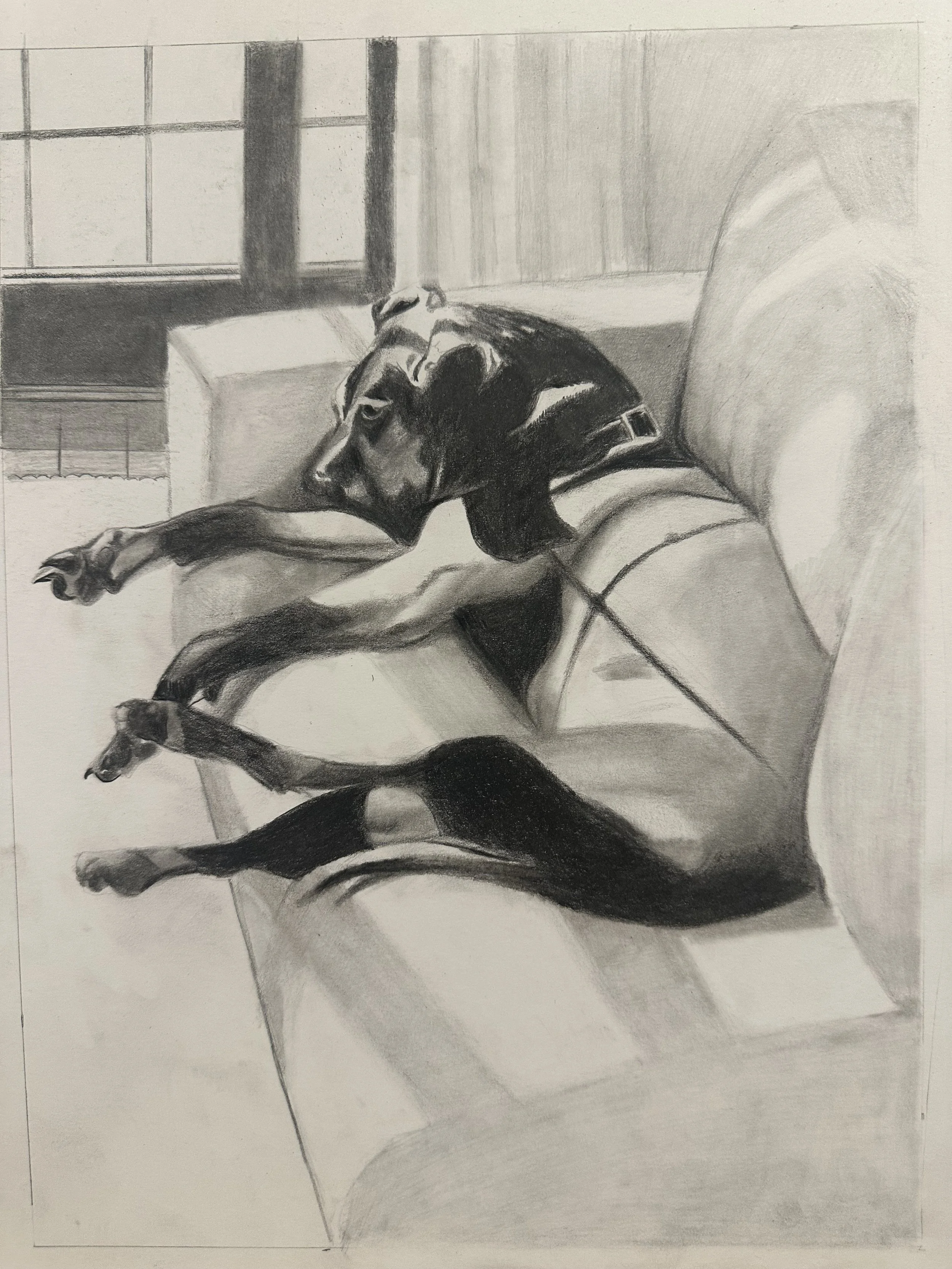 A realistic pencil sketch of a dog lying on a couch near a window with sunlight streaming in.