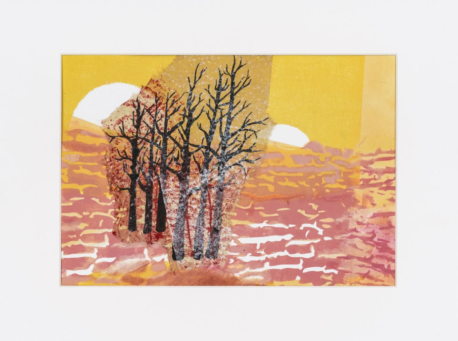Winter sunlight through trees