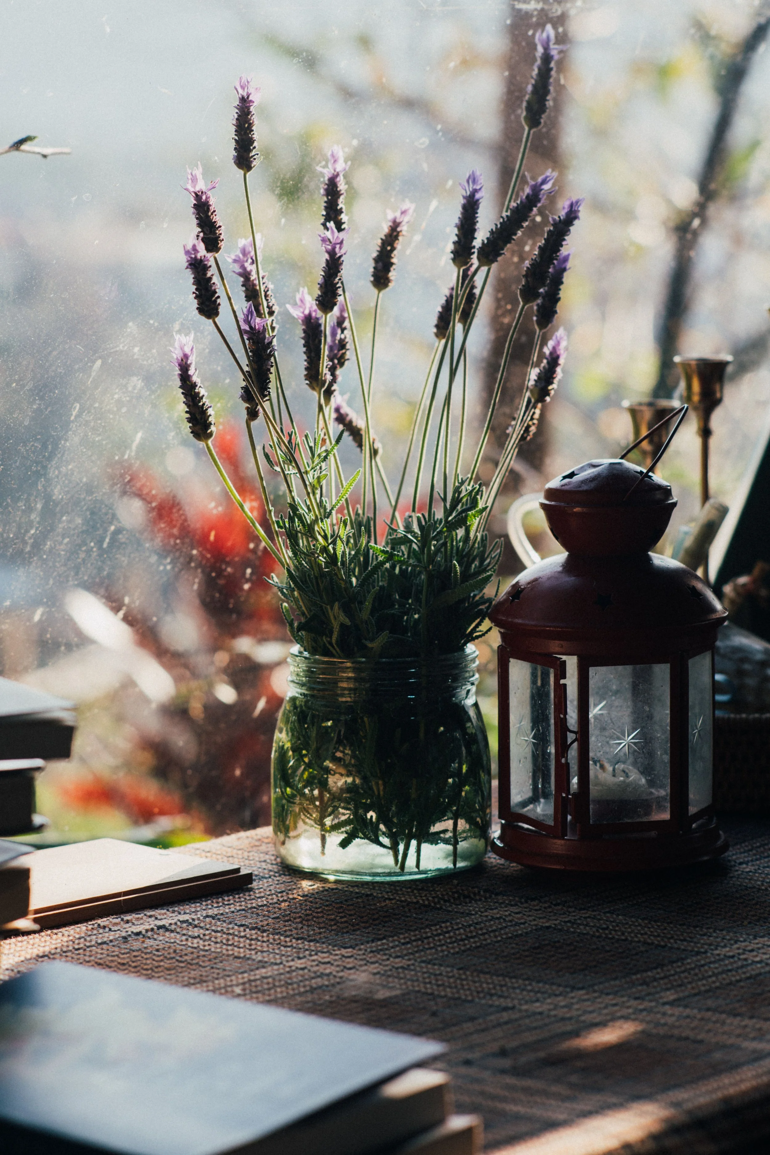 10 Ways to Use Lavender Around Your Home