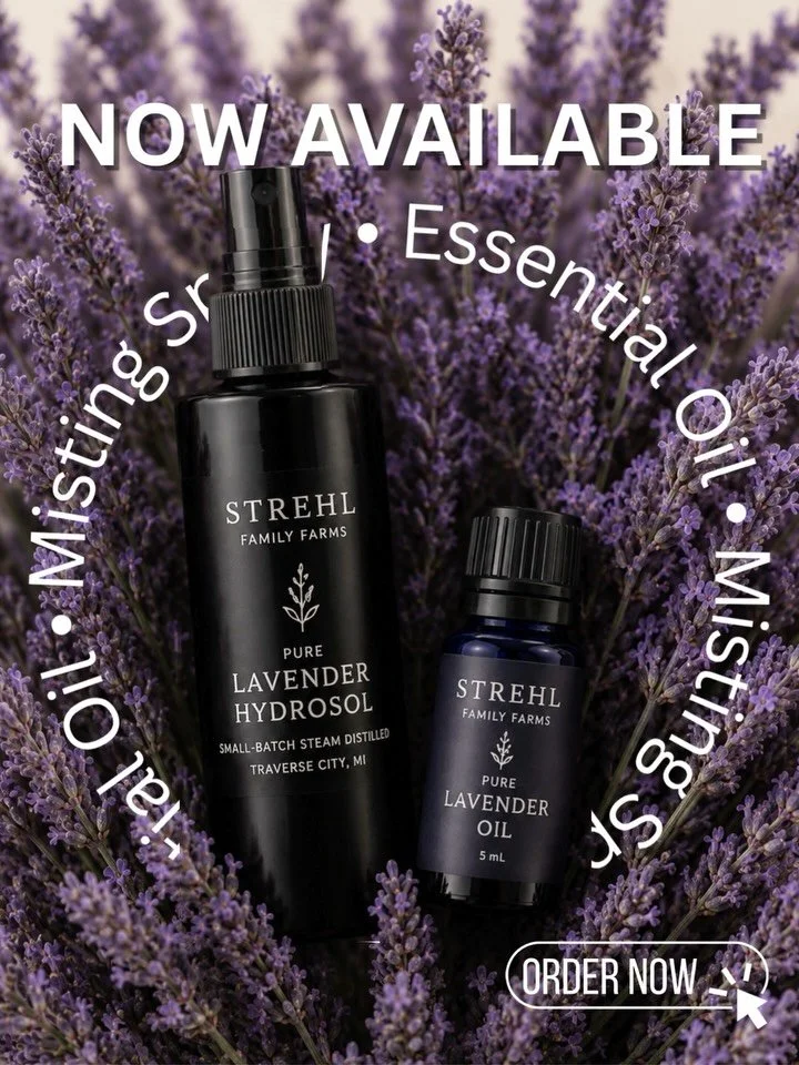Lavender essential oil and misting spray available now! 

Limited supply be sure to get yours now! 

Shop link in bio 

#lavenderessentialoil #lavenderspray #strehlfamilyfarms