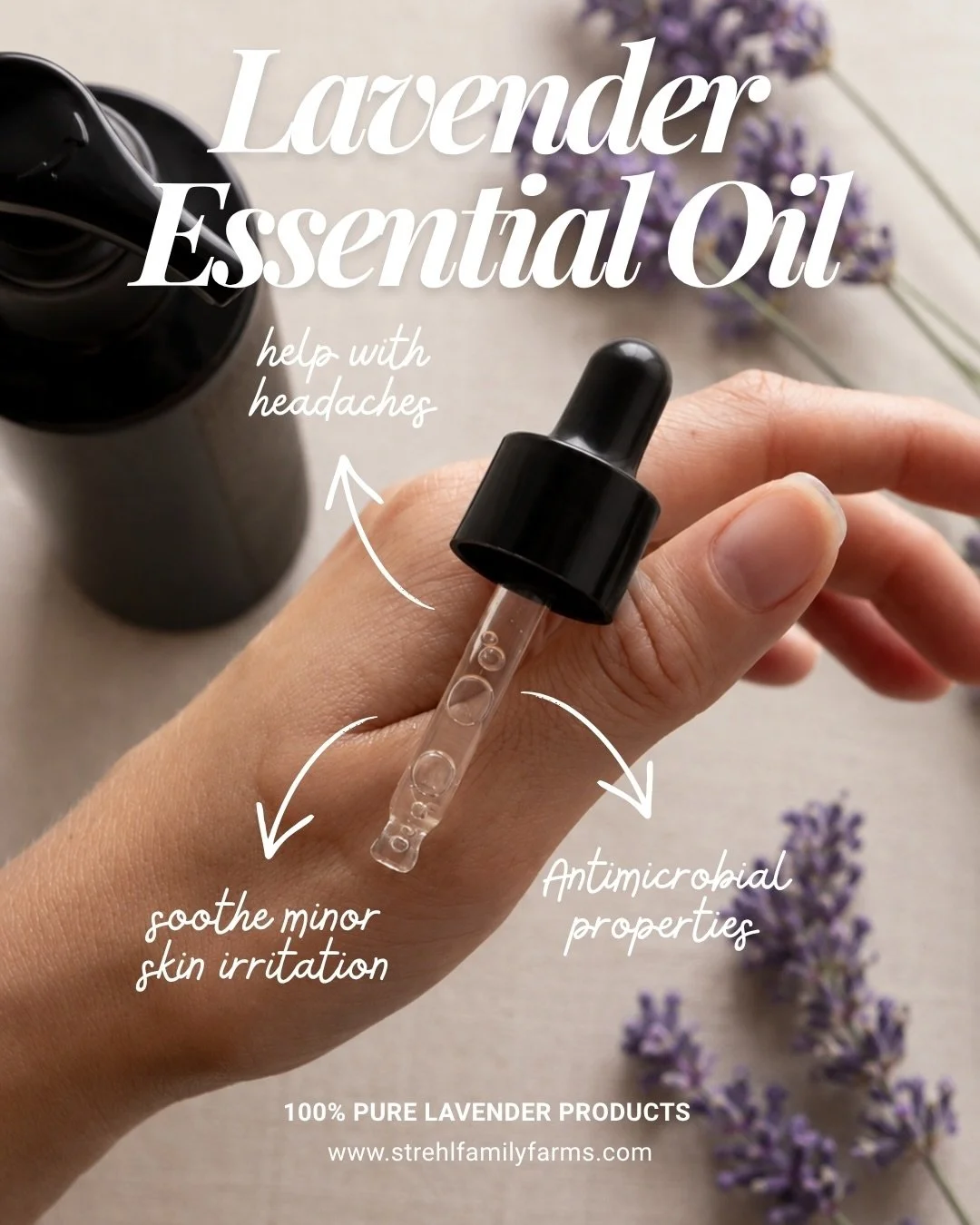 Your lavender routine just got an upgrade. 💜

Meet the two essentials you&rsquo;ll want within reach every day:
🌿 Pure Lavender Essential Oil &mdash; concentrated, aromatic lavender for those moments when you need to slow down and unwind.
💦 Lavend