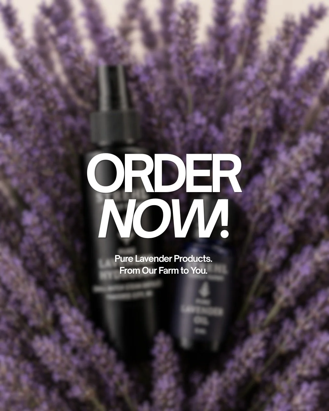 Essential oil, misting spray &amp; more now available.  Limited supply and it&rsquo;s going fast! 

Shop link in bio 

#lavender #familyfarm #shop #strehlfamilyfarms