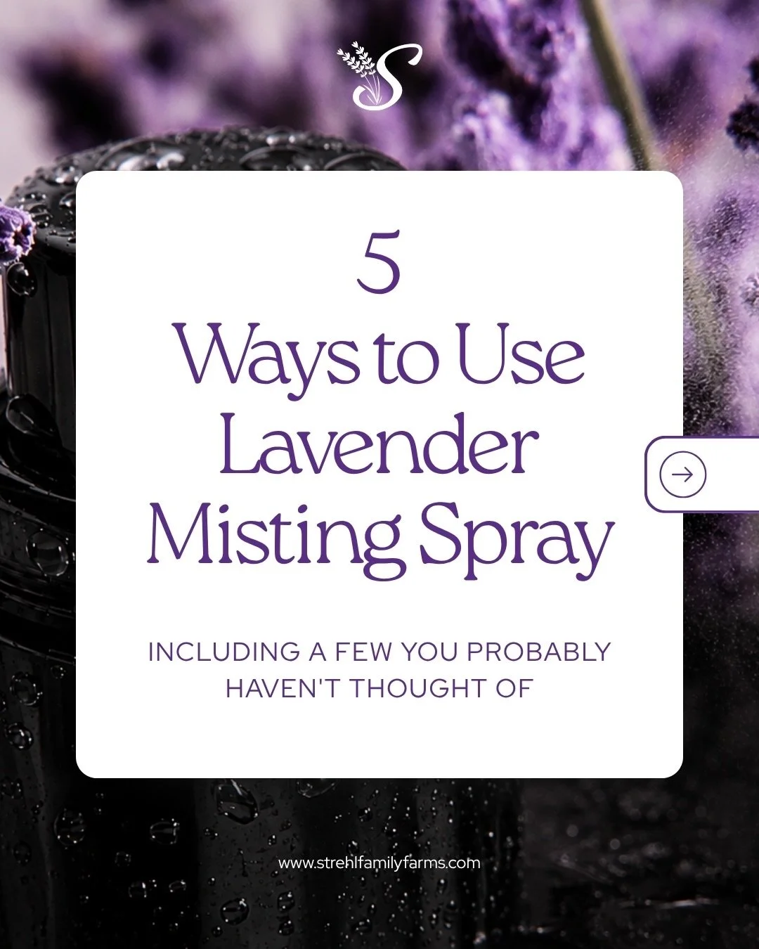 You thought it was just lavender spray&hellip;until now. 

Your pillow. Your car. Your gym bag. Your suitcase. And honestly more. 

One bottle, SO many ways to use it - and once you have one, you will wonder how you went without it. 

✨ 100% pure lav