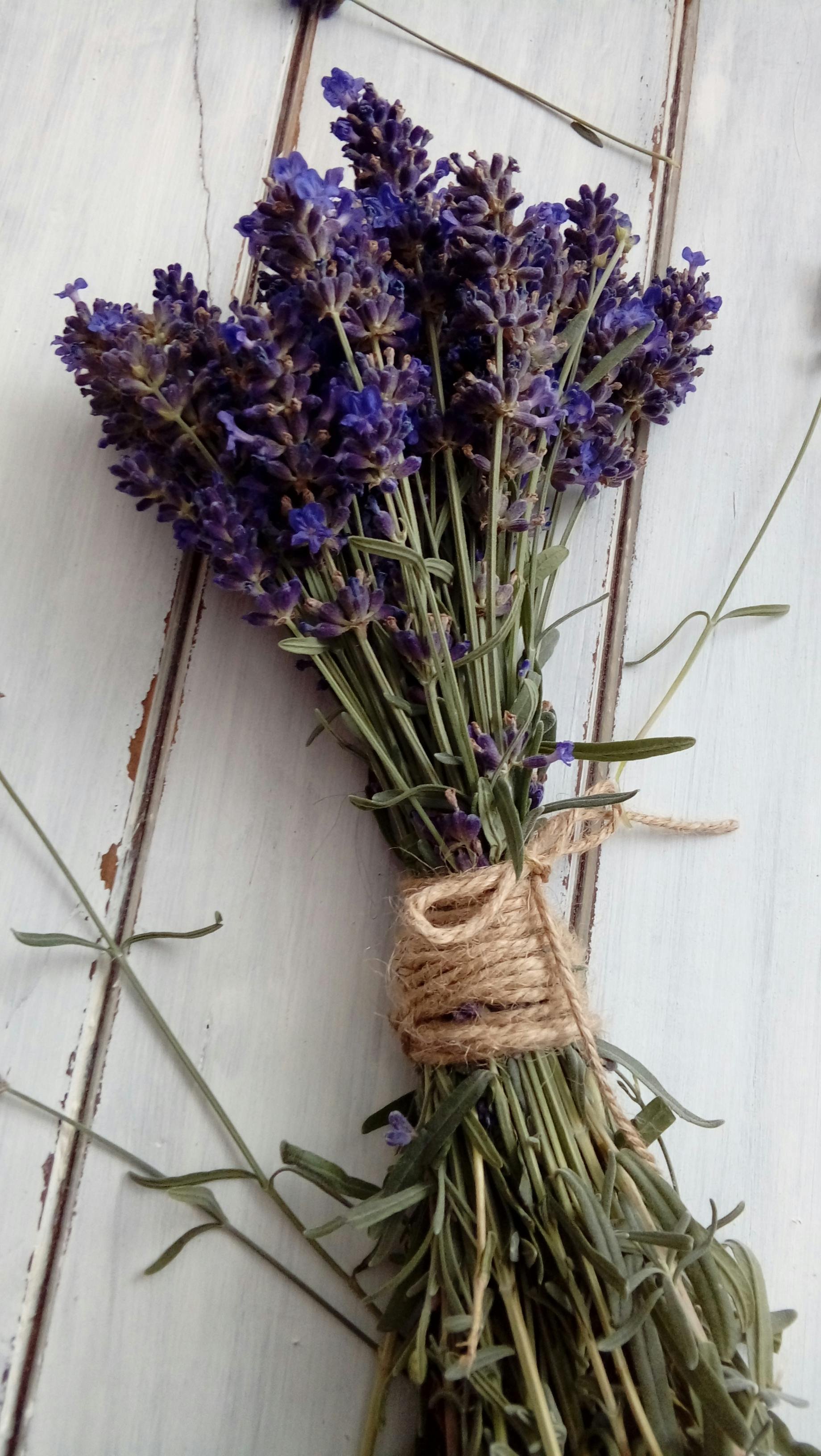 A bouquet of dried lavender flowers tied with twine, lying on a white wooden surface.