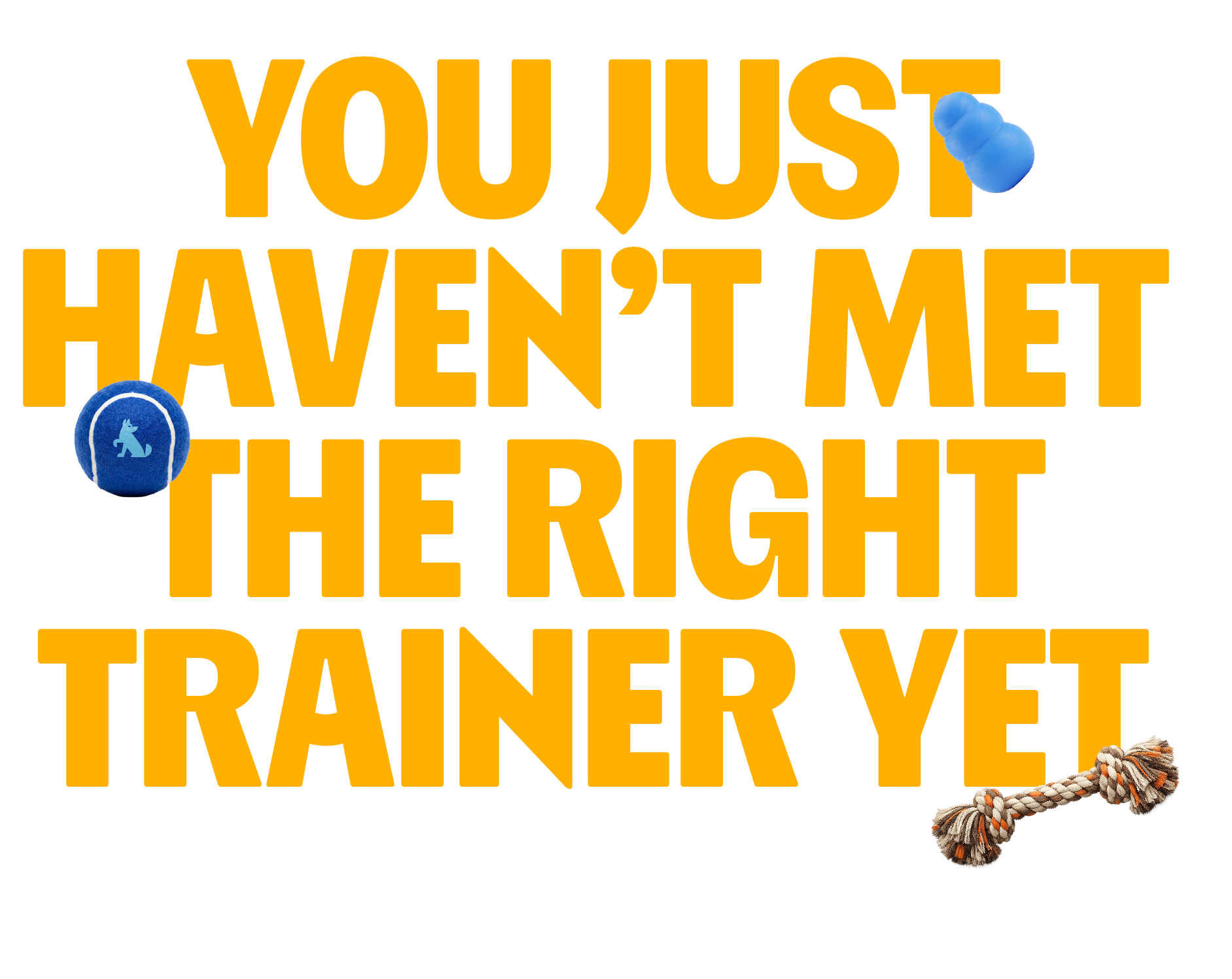 RIGHT TRAINER.PNG