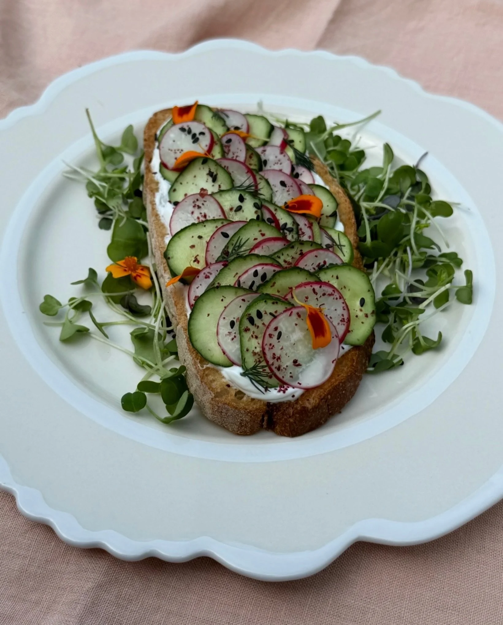 🍞

citrus dill labne, shingled vegetables, toasted sourdough