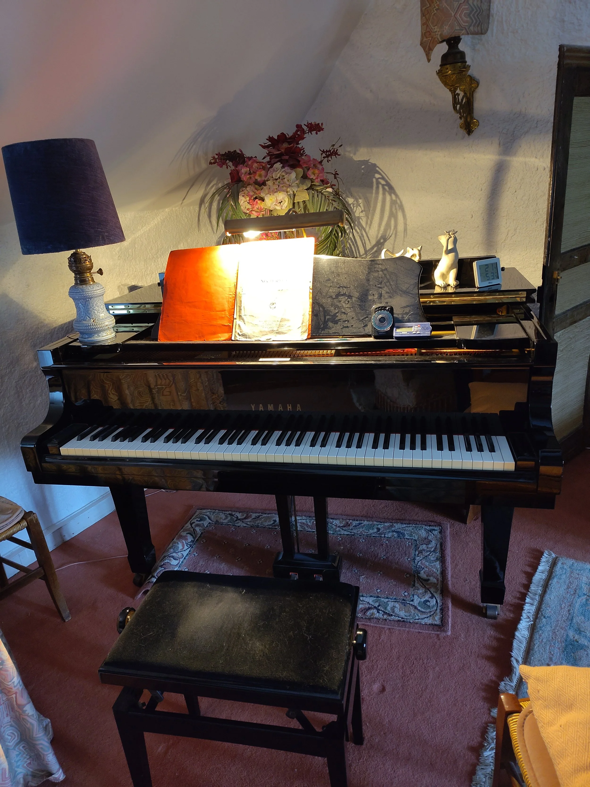 PIANO, résidence, concert, cours, professeur