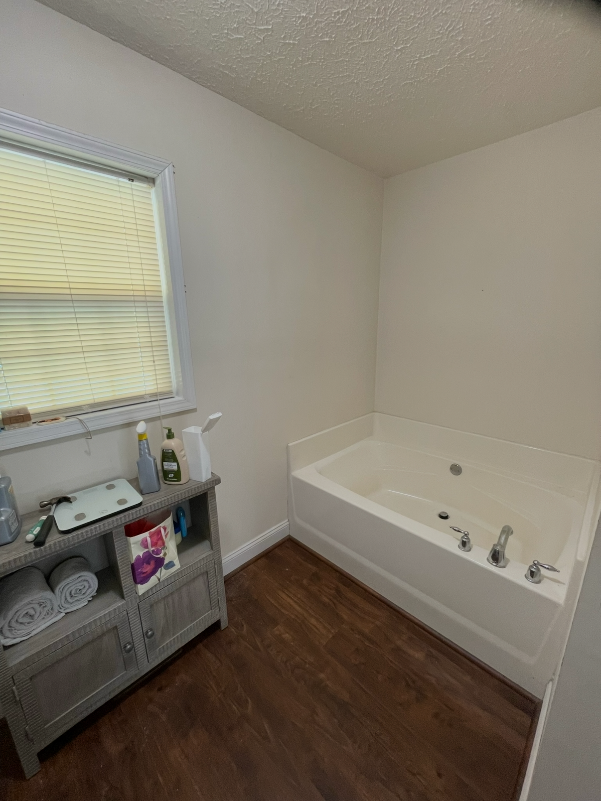 mom%27s+bathroom+before+1.png