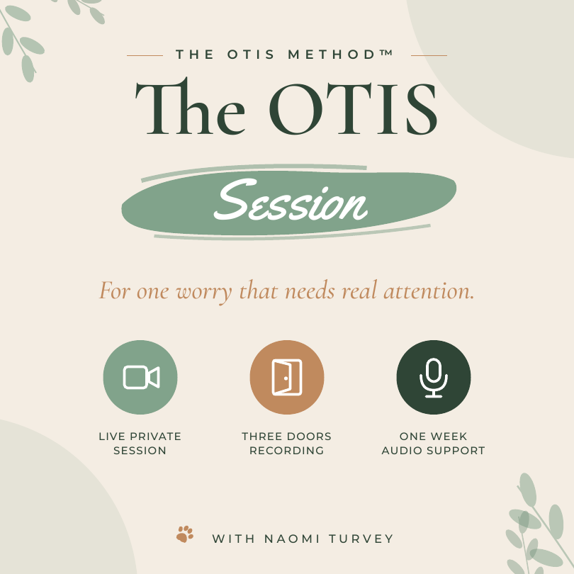 OTIS Session checkout image.png