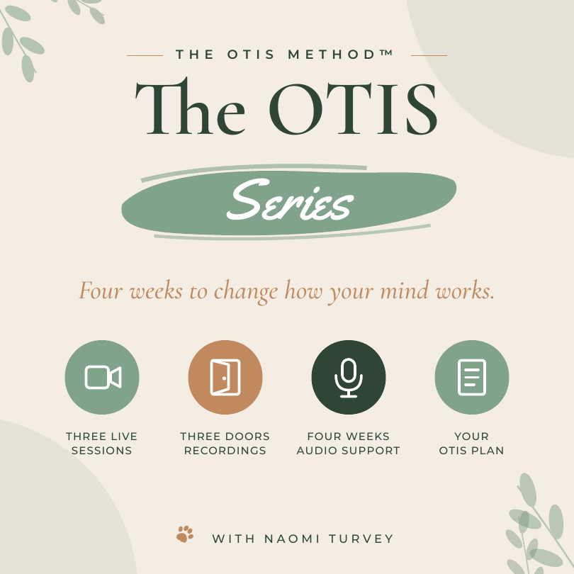 OTIS Series checkout image.png