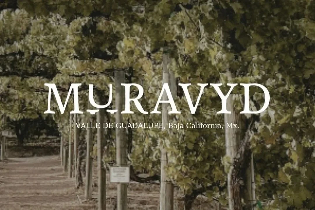 [ MURAVYD ]