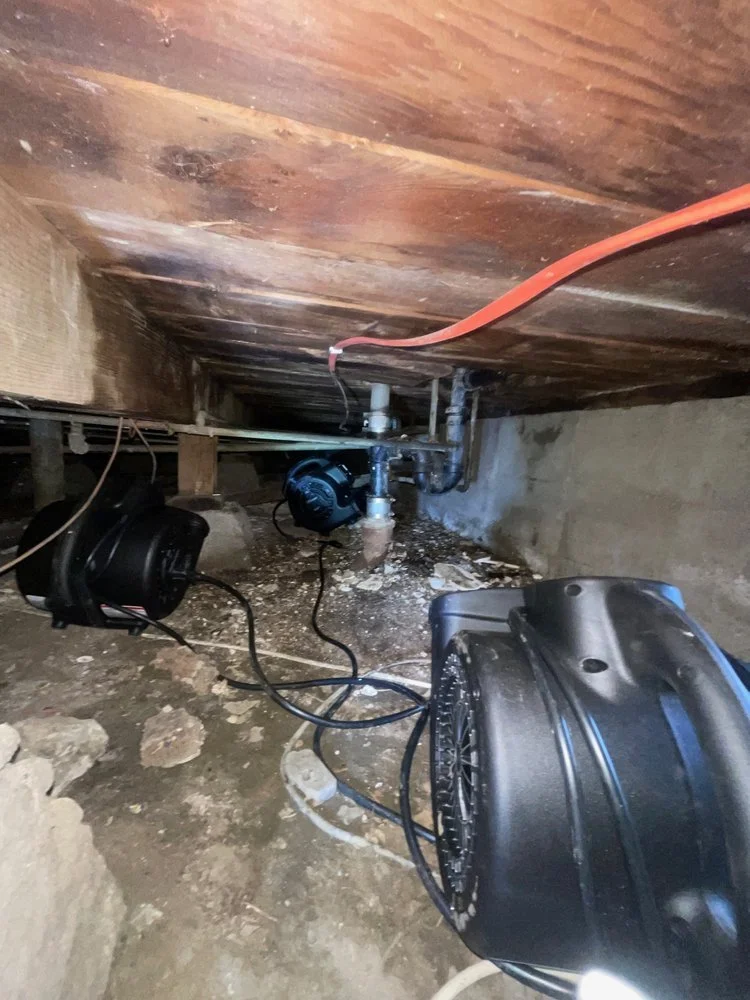 crawlspace5.jpg