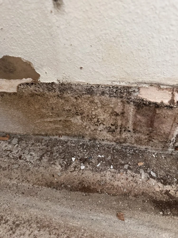mold4.jpg