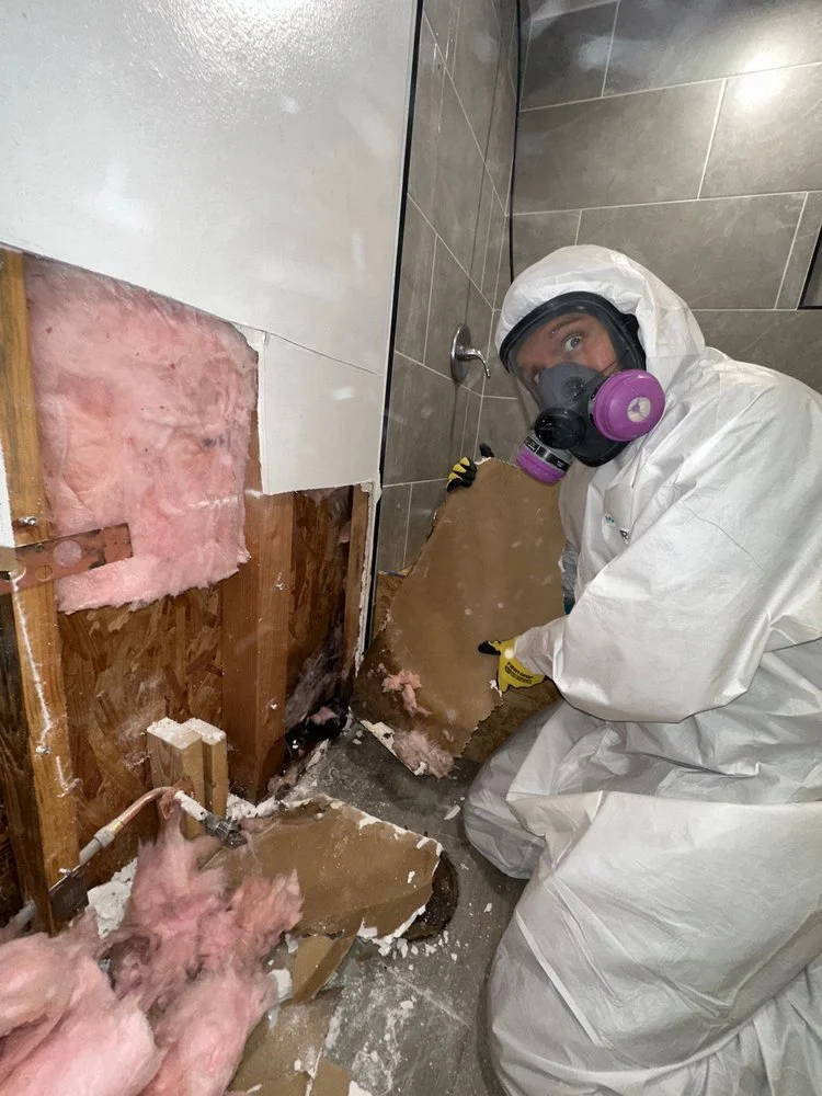 mold9.jpg
