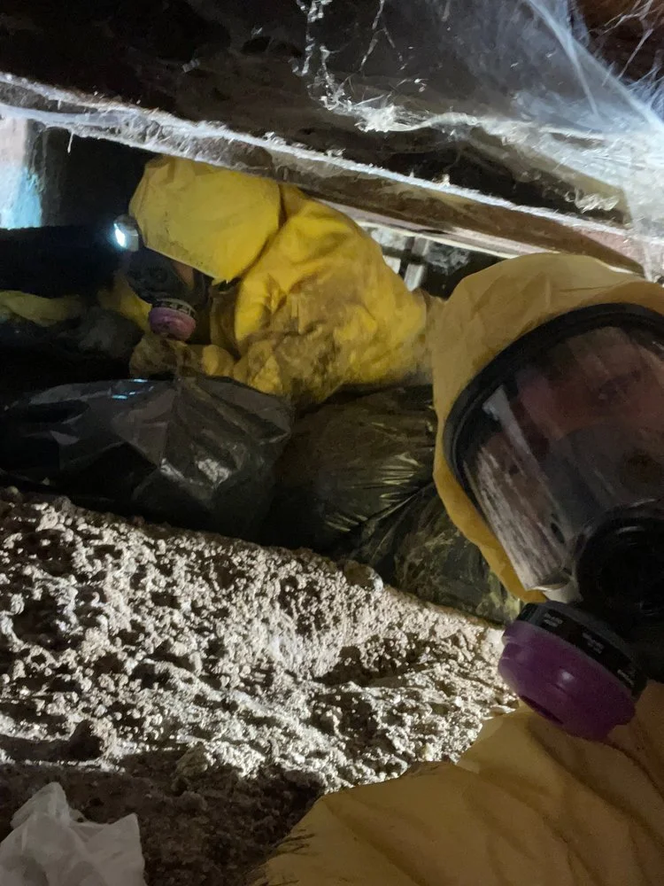 crawlspace1.jpg