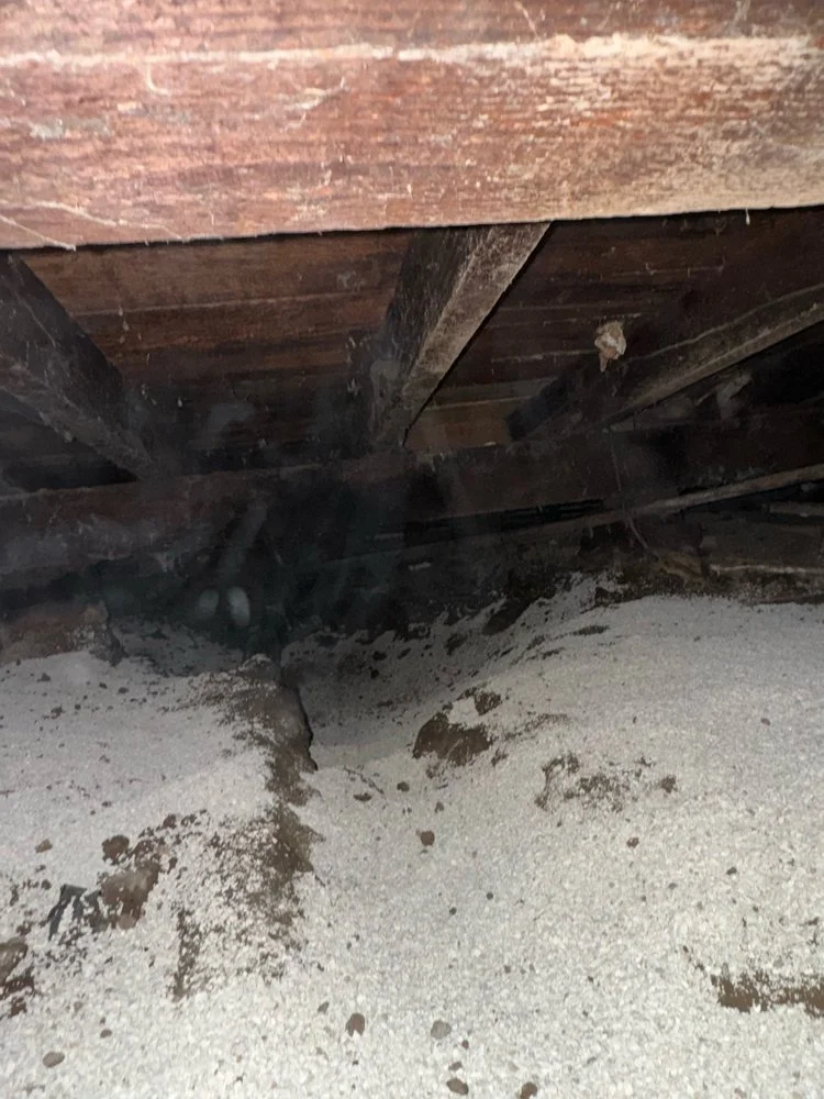 crawlspace3.jpg